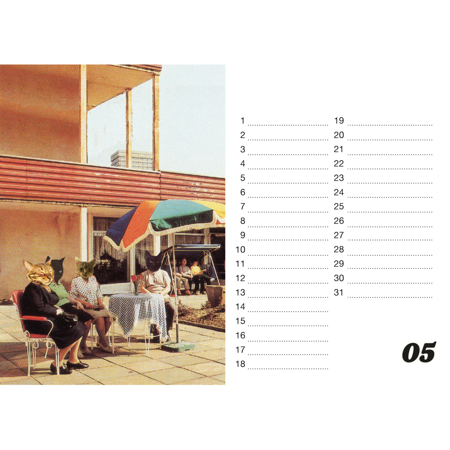 Streuner, Tischkalender A5 Querformat