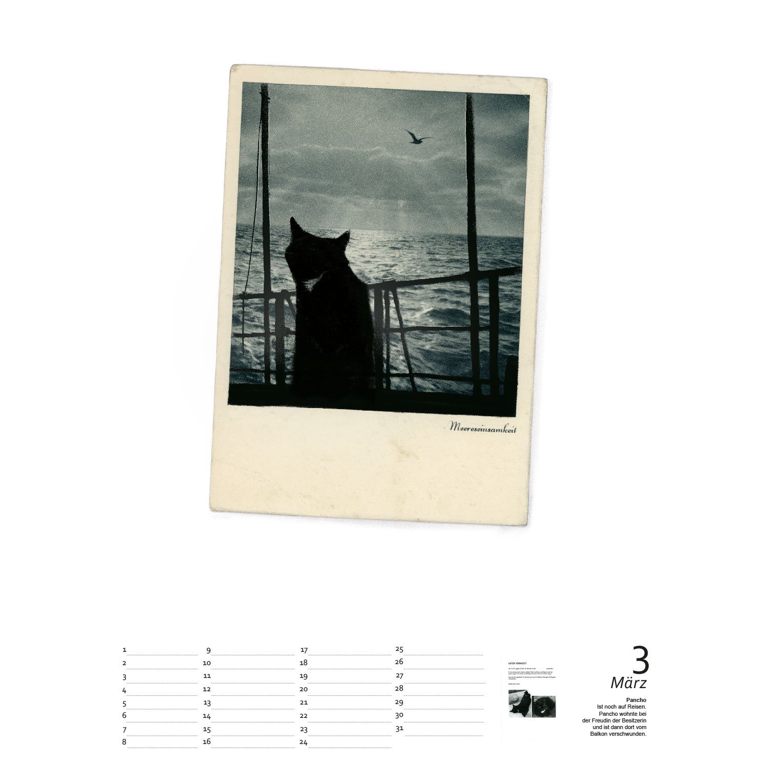 Streuner die schönsten Momente Teil2 , Immerwährender Kalender A3