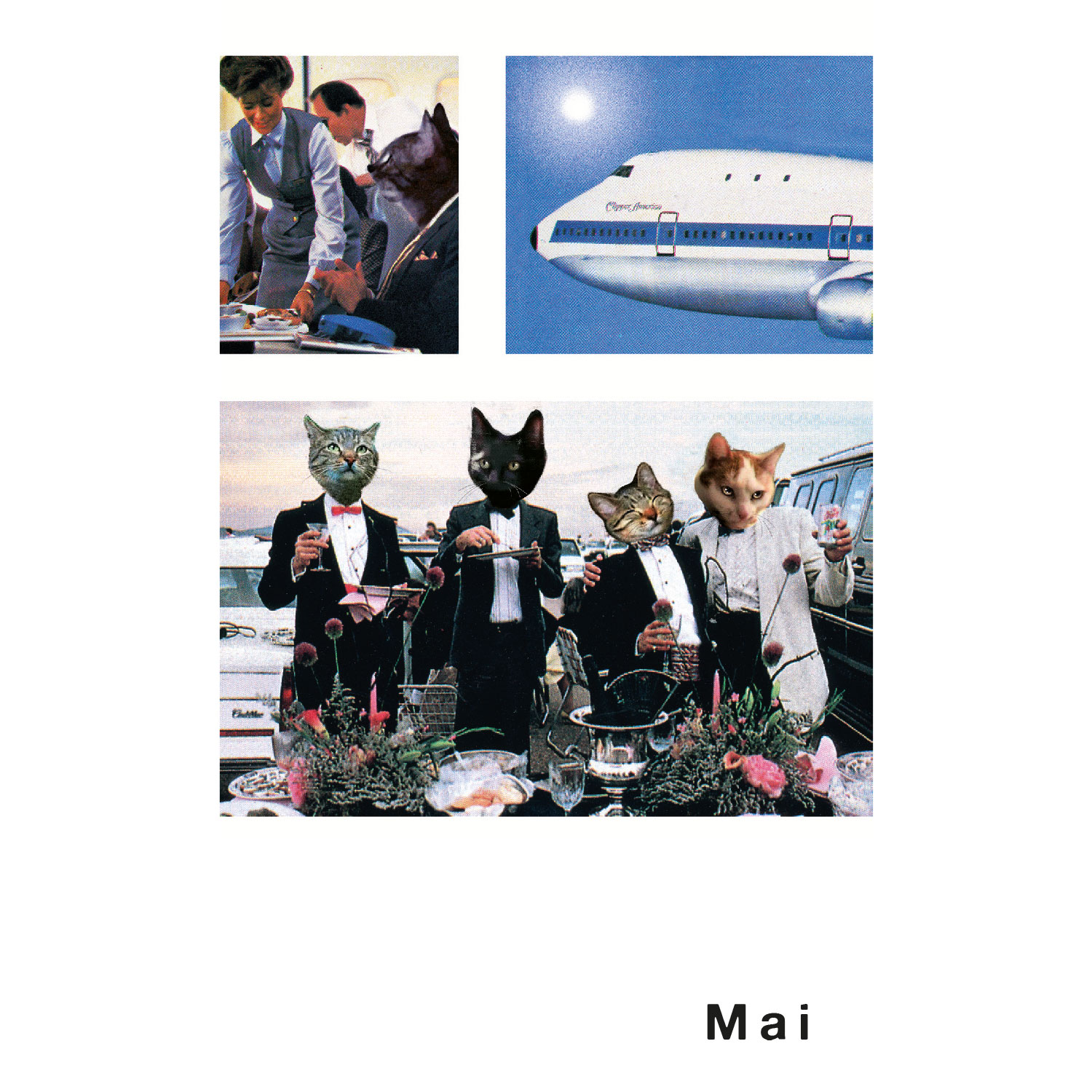Streuner 7, Postkartenkalender
