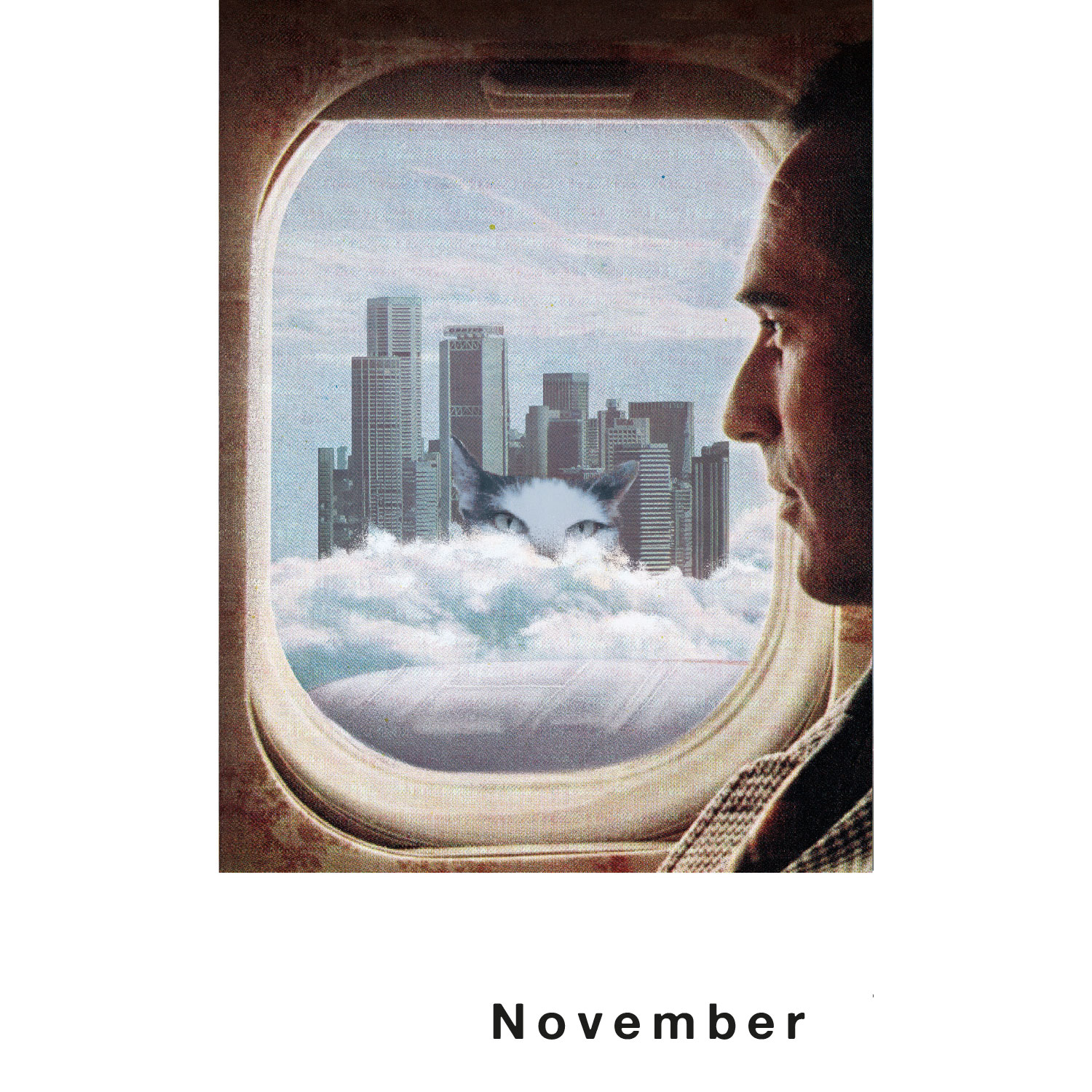Streuner 6, Postkartenkalender