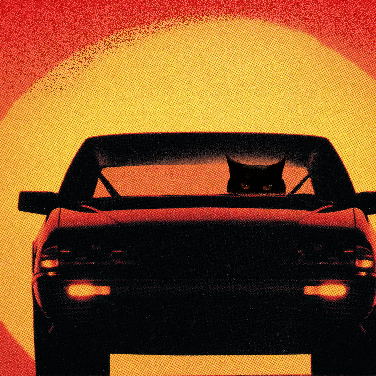 Streuner Stray Rider., Plakat A3