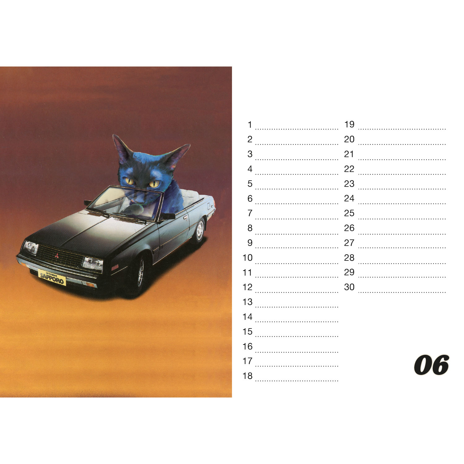 Streuner, Tischkalender A5 Querformat
