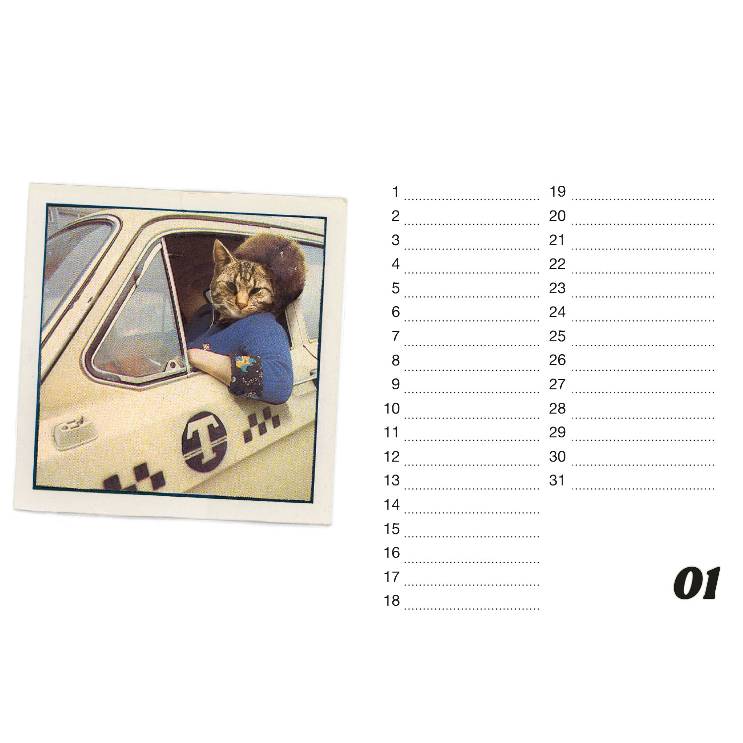 Streuner, Tischkalender A5 Querformat
