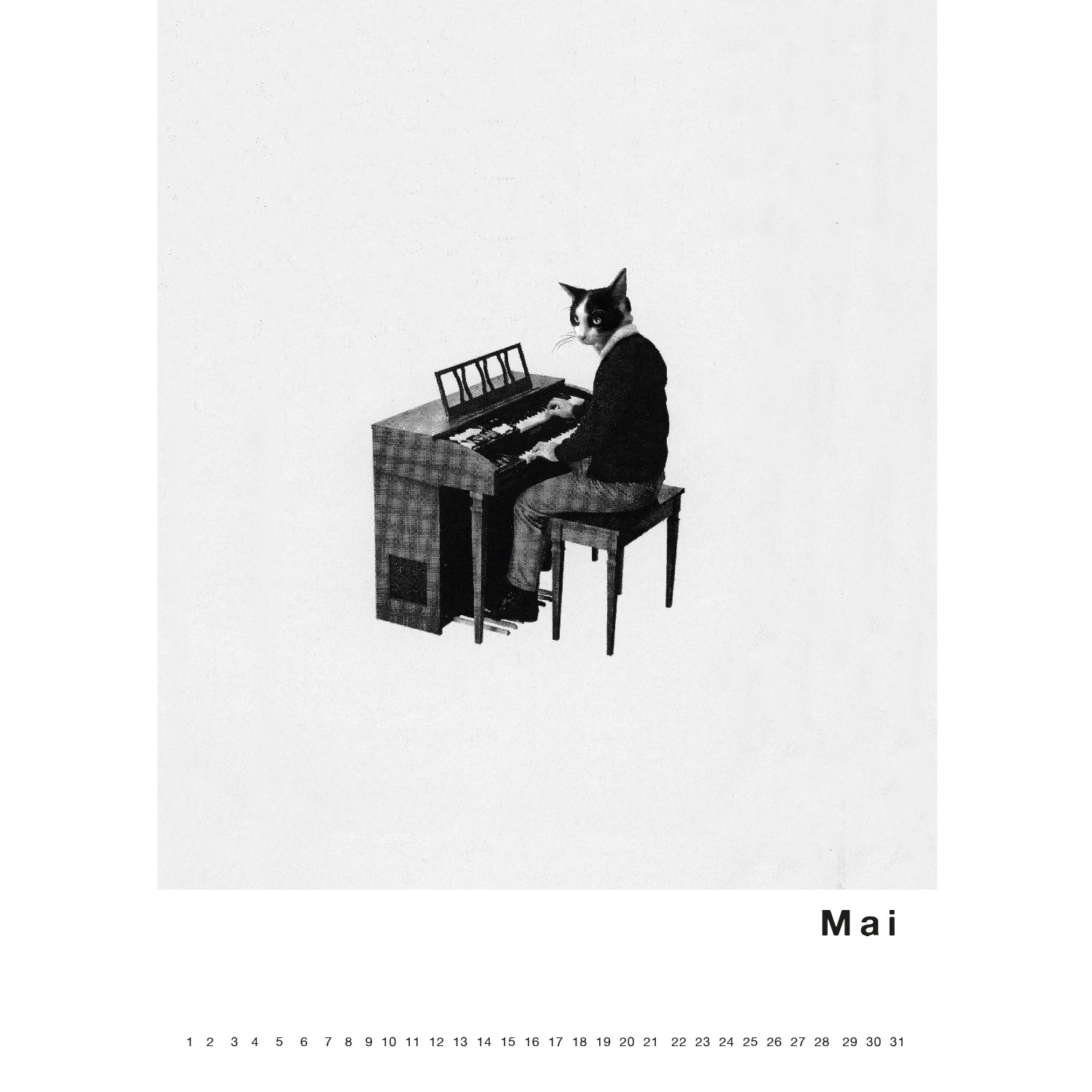 Streuner 3, immerwährender Kalender A4