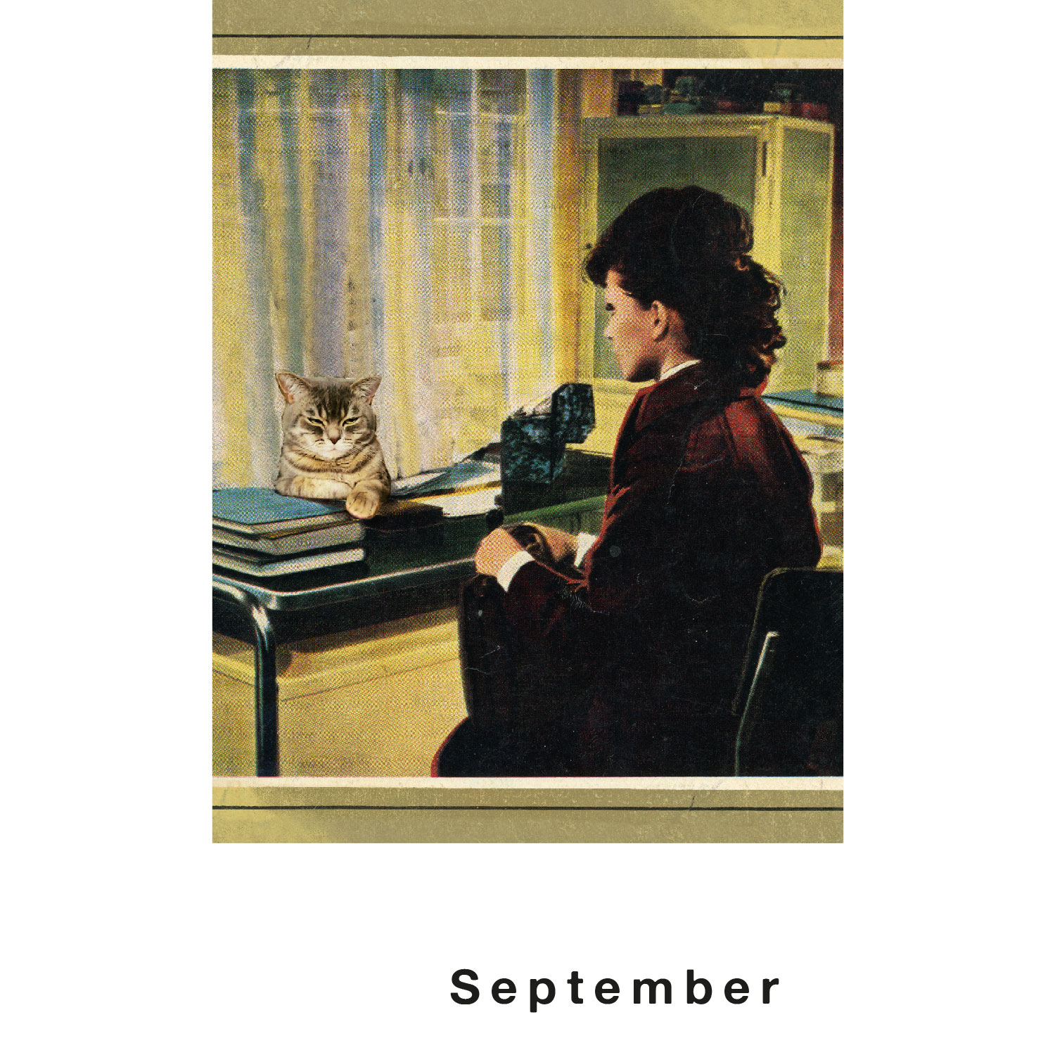 Streuner 4, Postkartenkalender