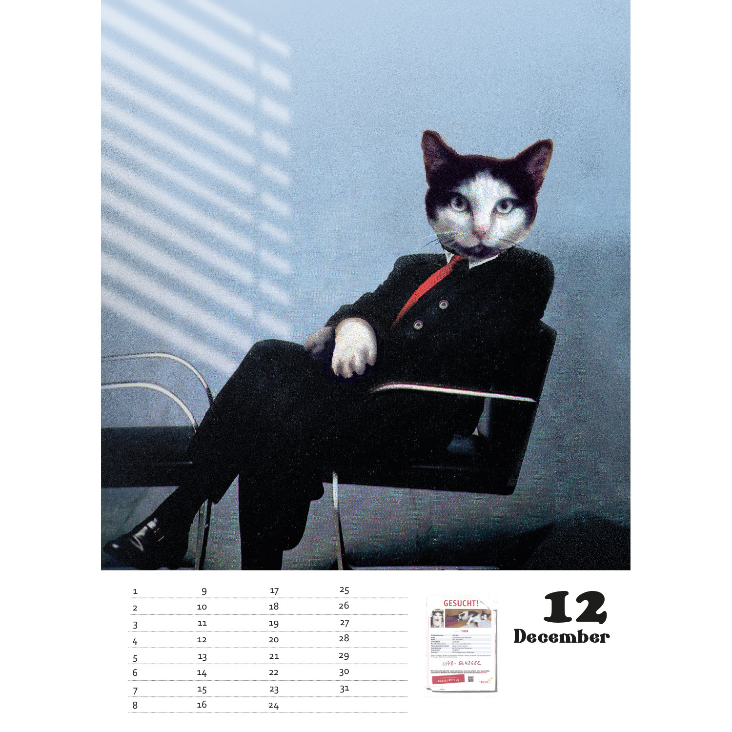 Stray 2, immerwährender Kalender A4
