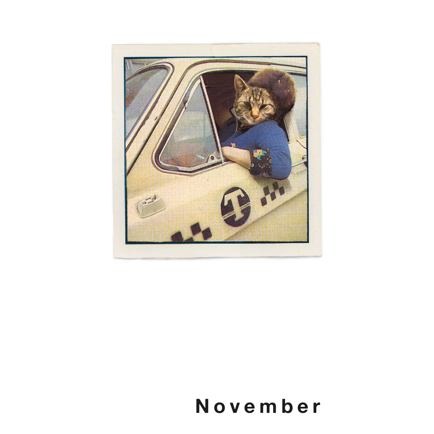 Streuner 4, Postkartenkalender