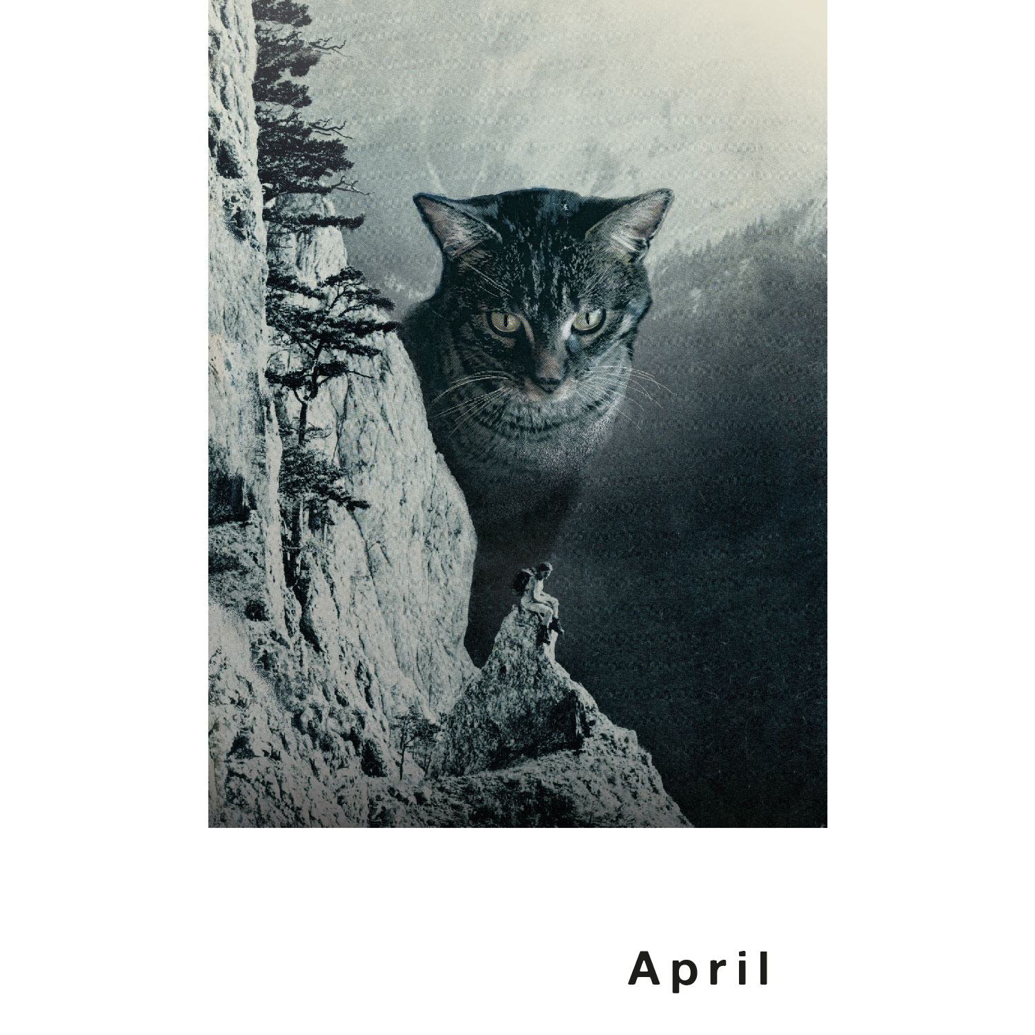 Streuner 4, Postkartenkalender