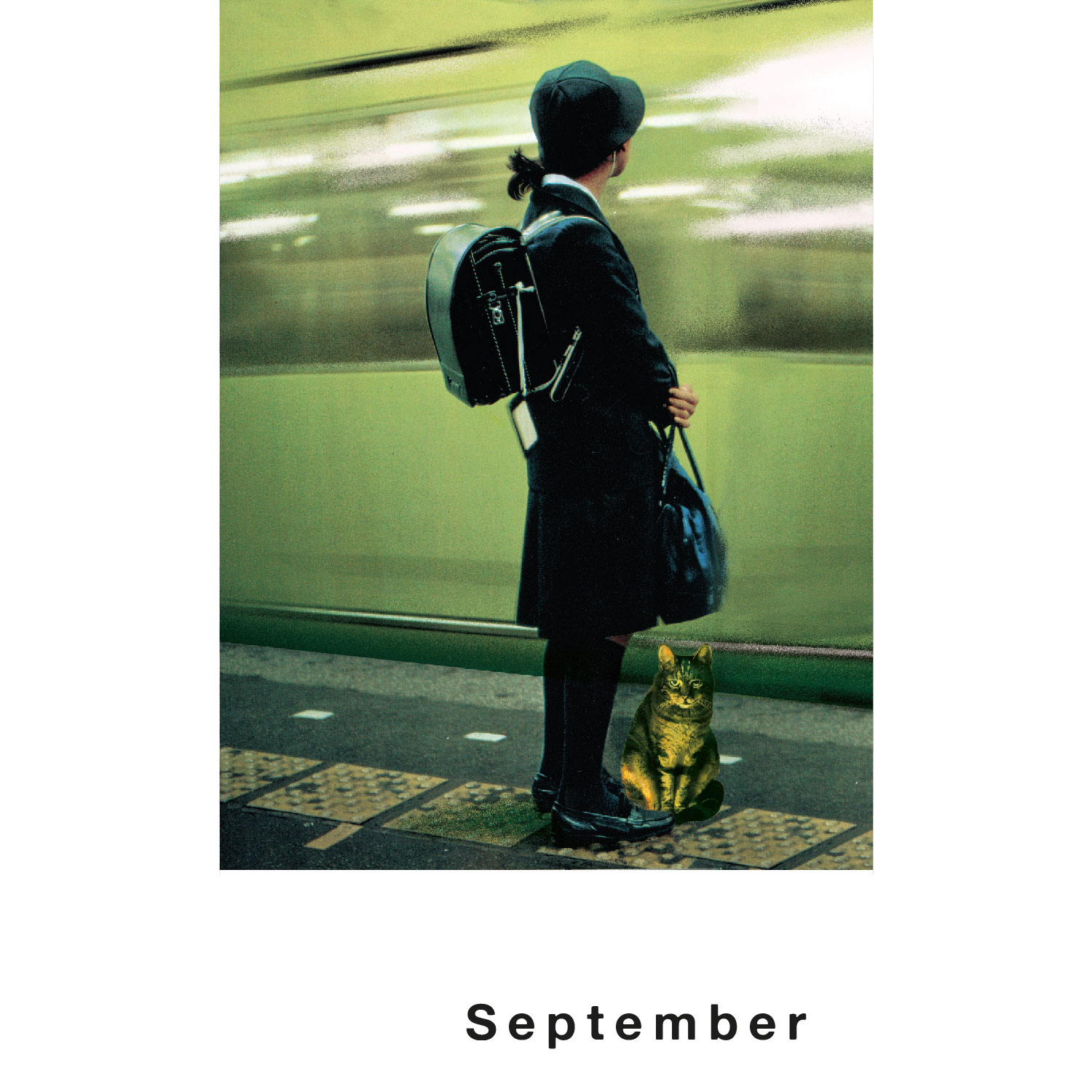 Streuner 7, Postkartenkalender