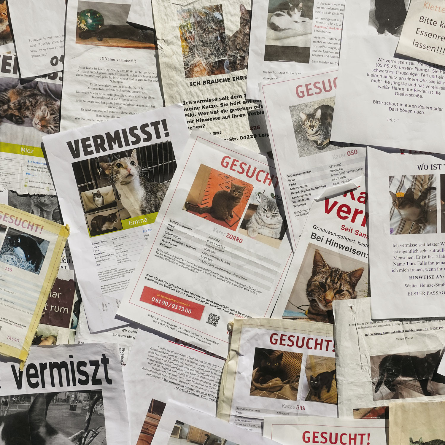 Stray 2, immerwährender Kalender A4