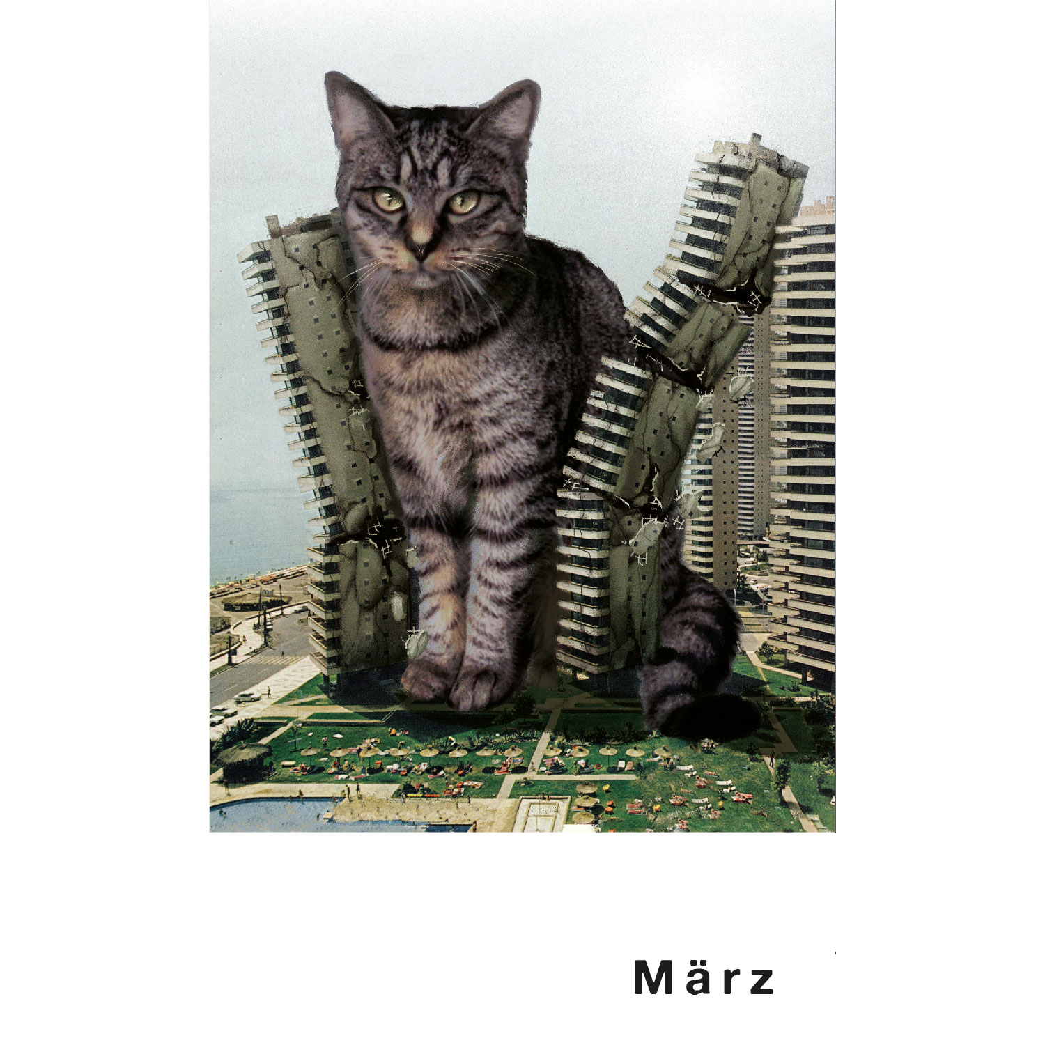 Streuner 6, Postkartenkalender