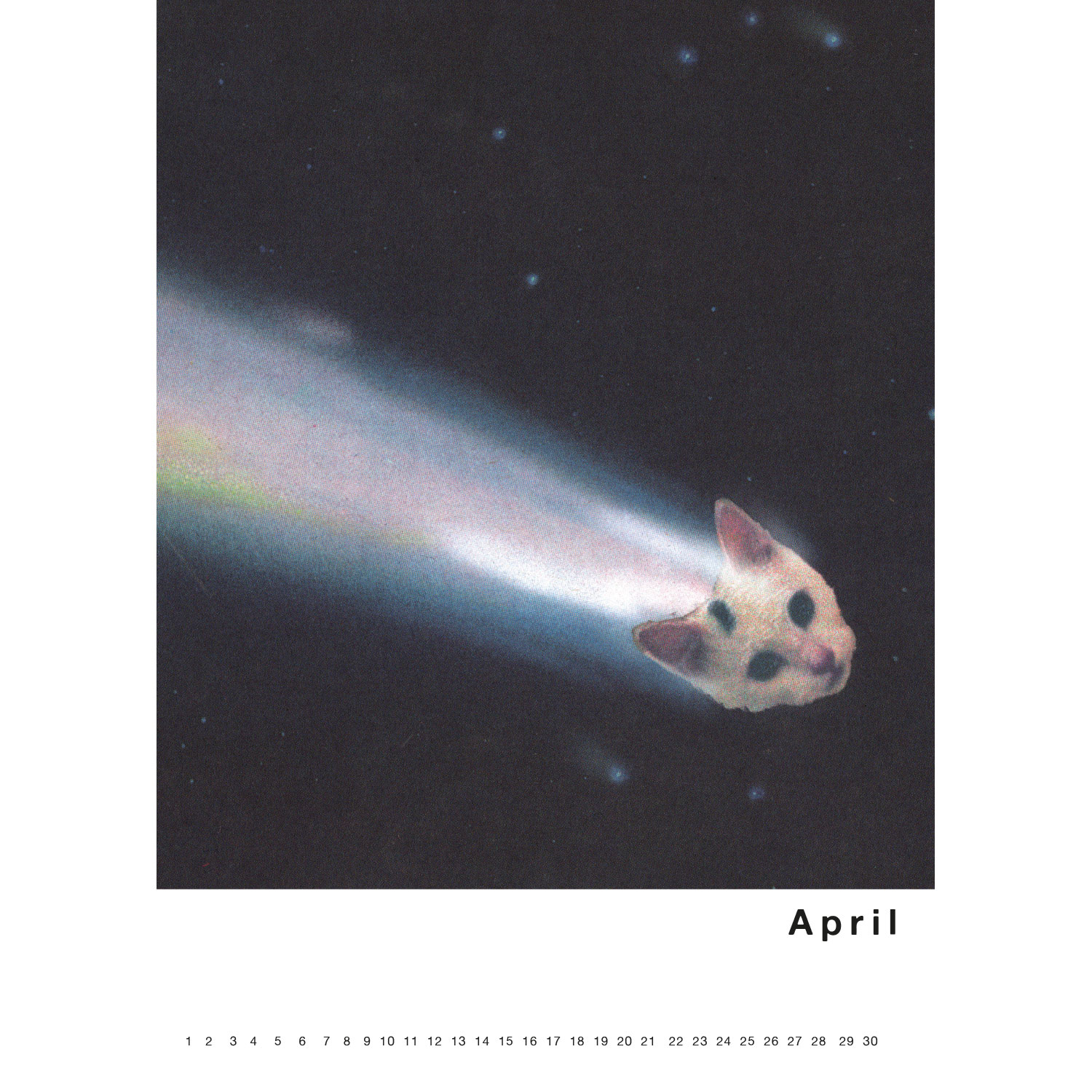 Streuner 1, Immerwährender Kalender A4