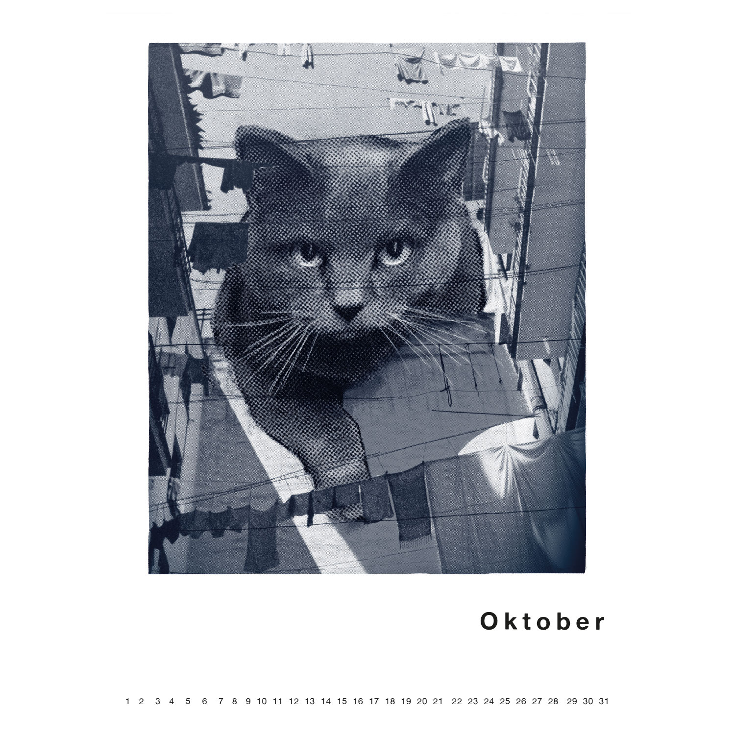 Streuner 3, immerwährender Kalender A4