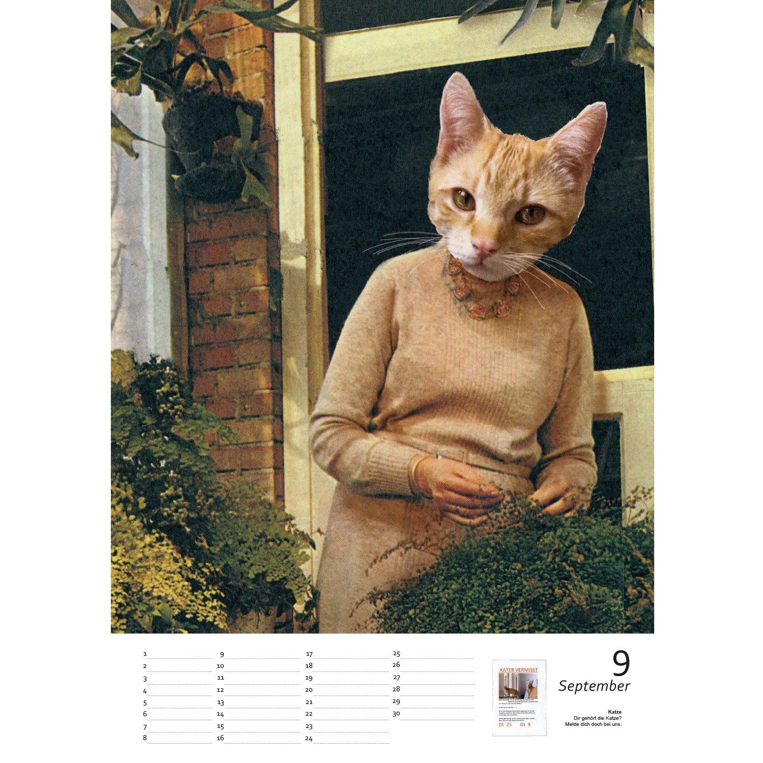 Streuner die schönsten Momente Teil2 , Immerwährender Kalender A3