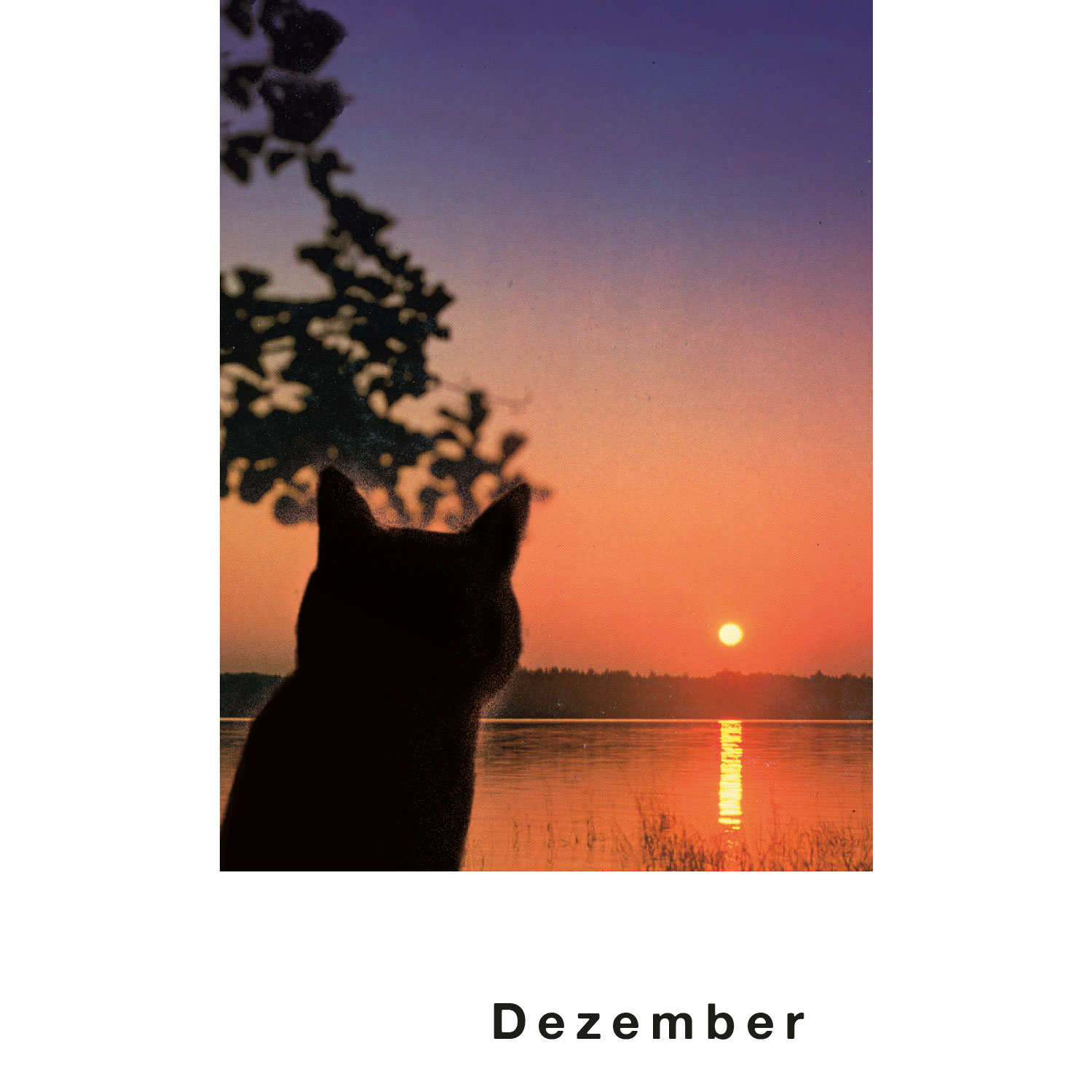 Streuner 4, Postkartenkalender