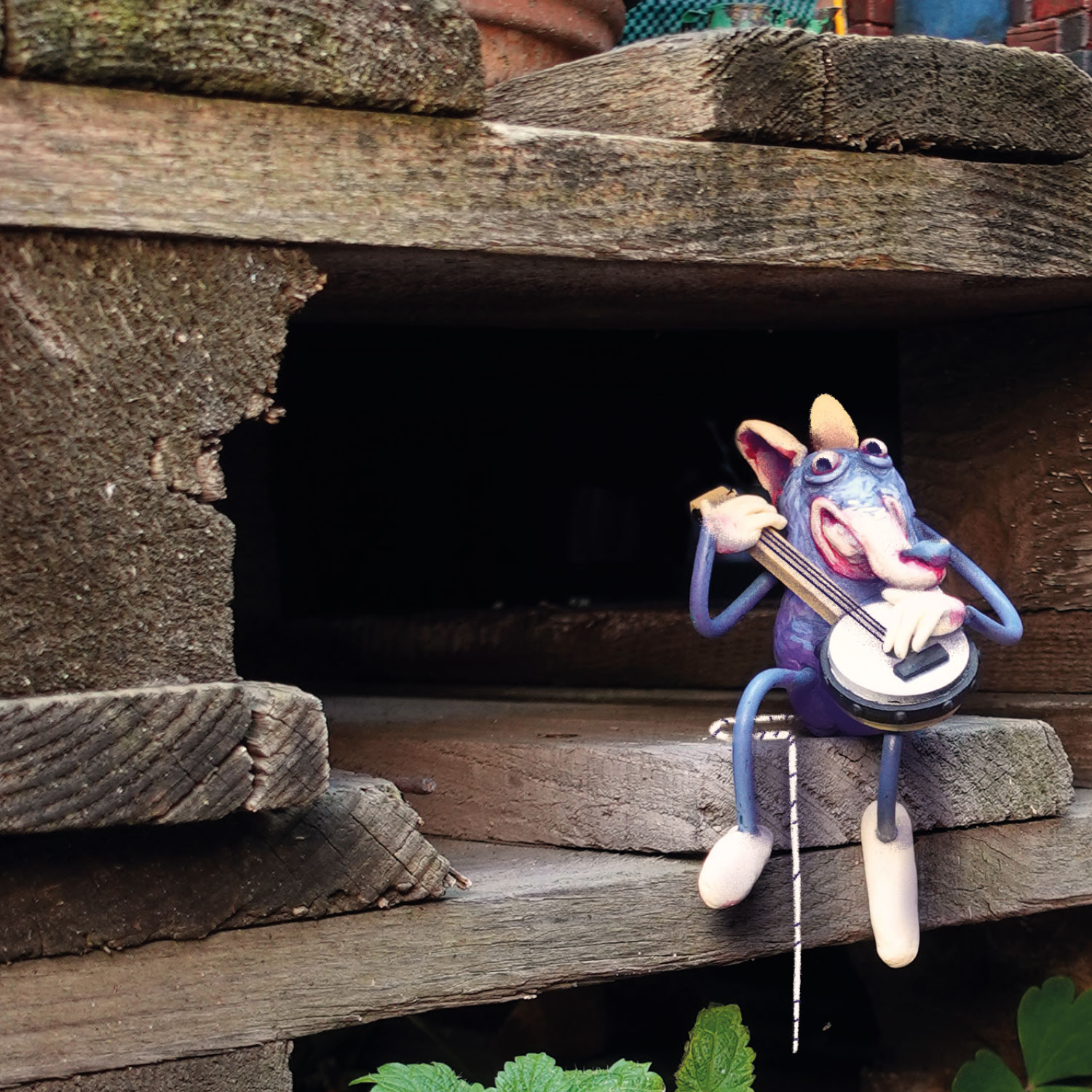 Wie Mäuse leben Katzenmusik
