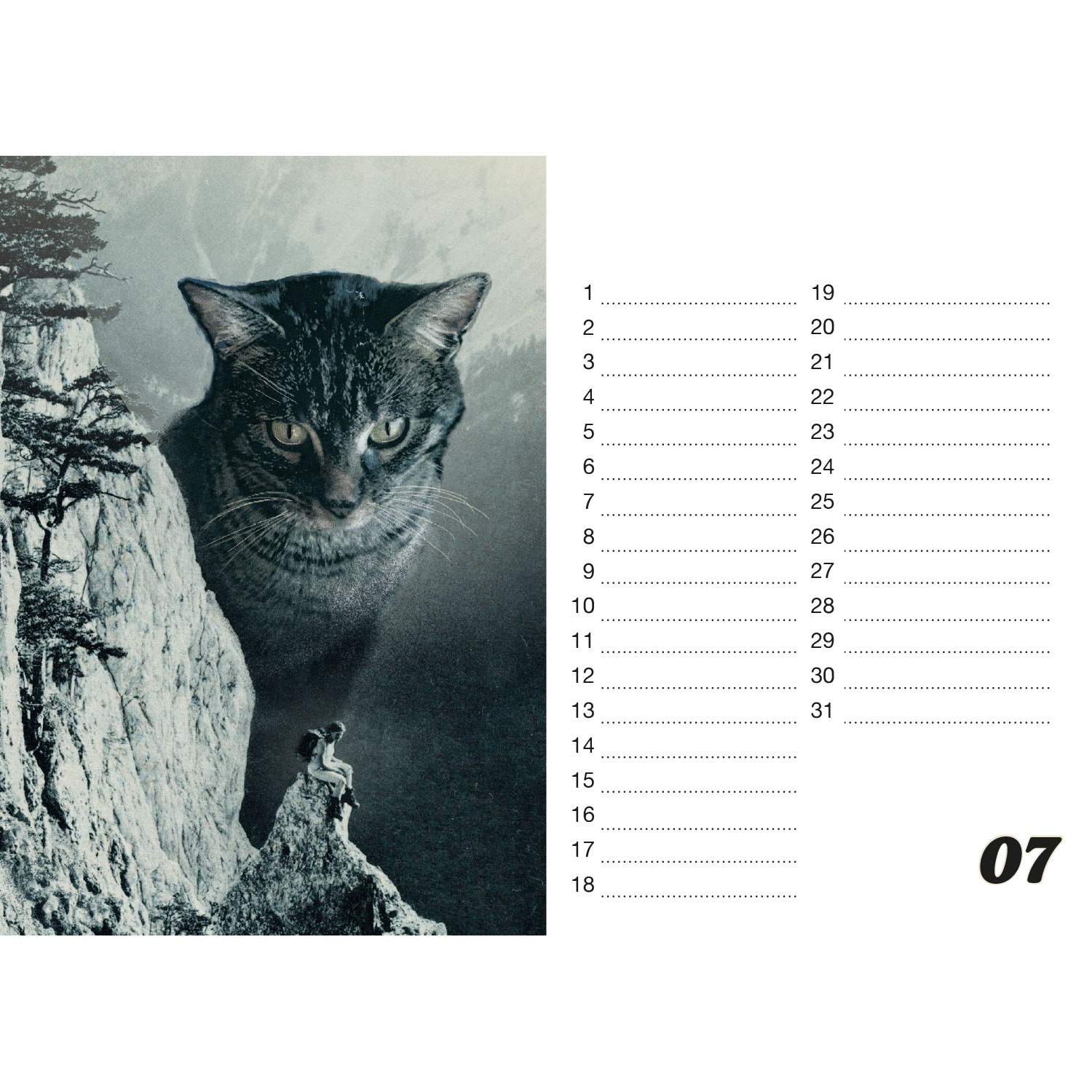 Streuner, Tischkalender A5 Querformat