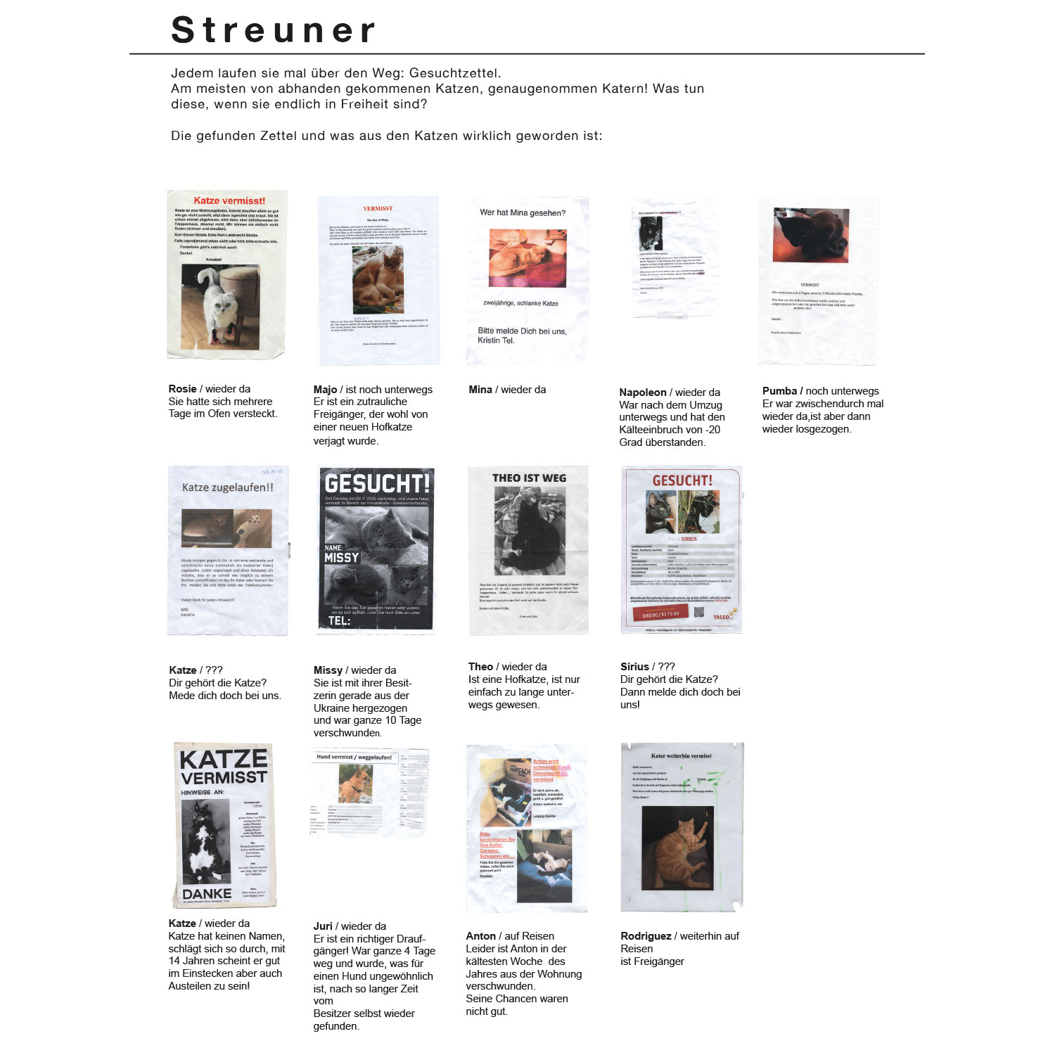 Streuner 1, Immerwährender Kalender A4