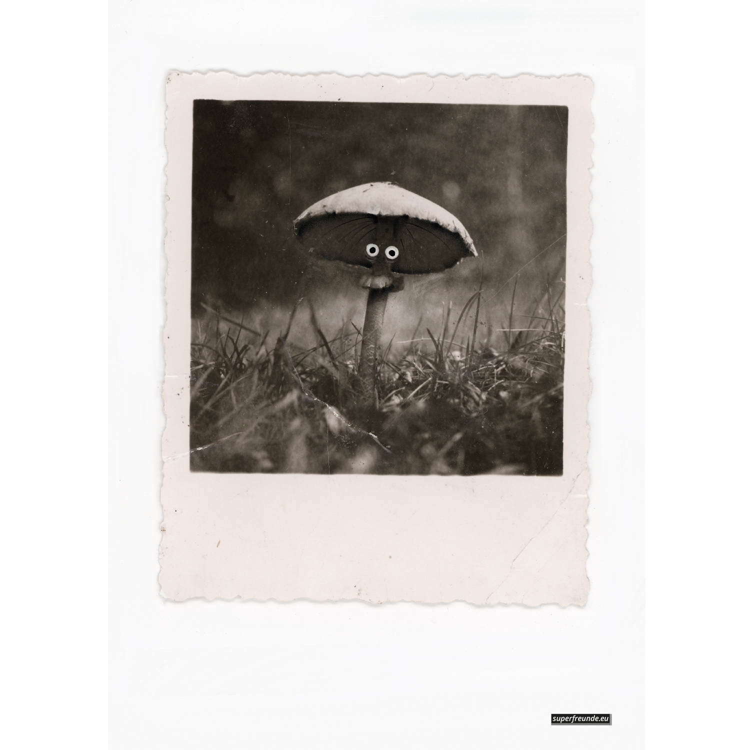 Pilz, Plakat A3