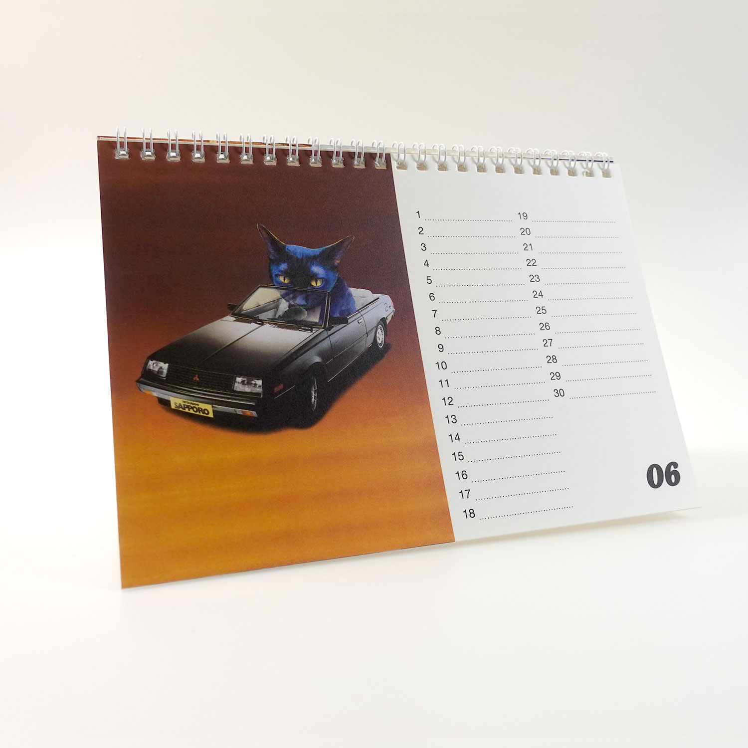 Streuner, Tischkalender A5 Querformat