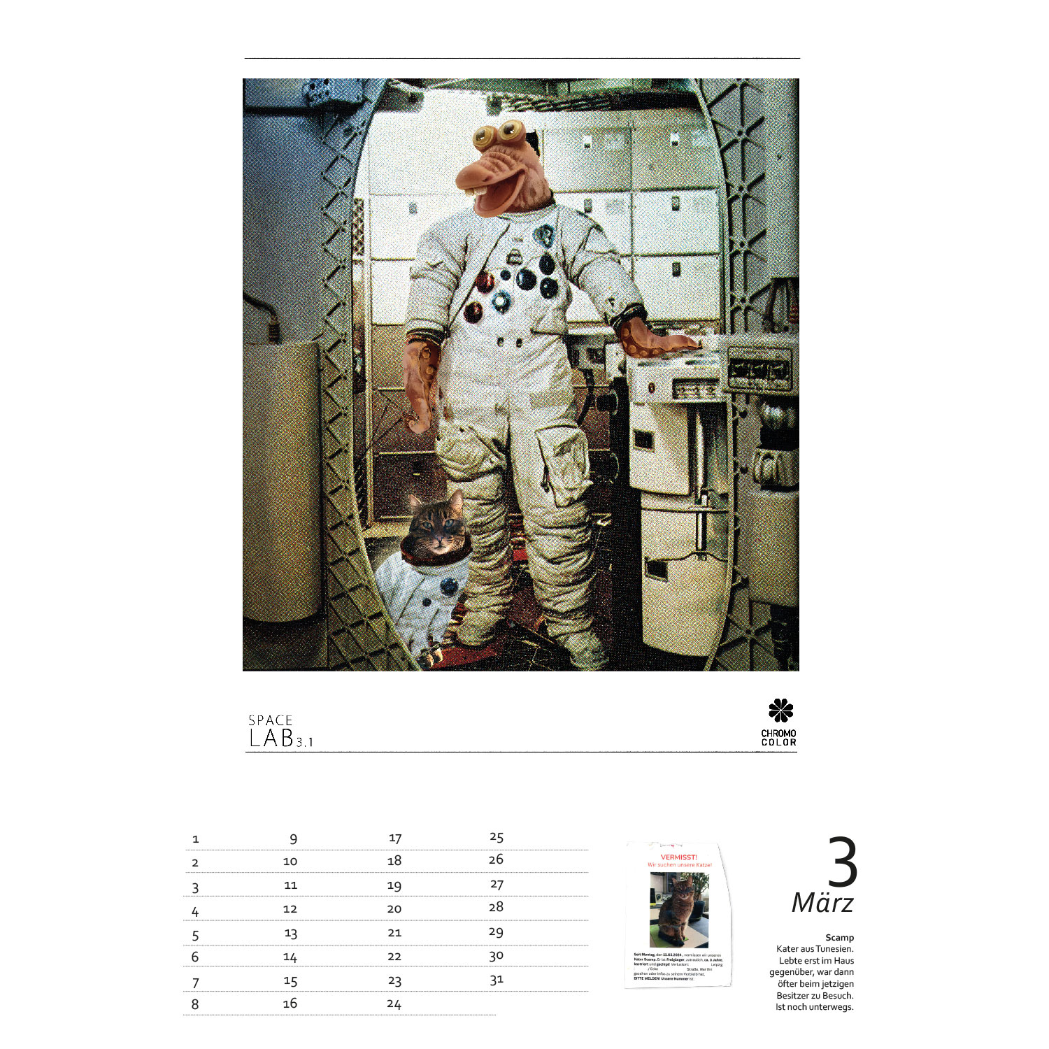 Streuner 4, immerwährender Kalender A4