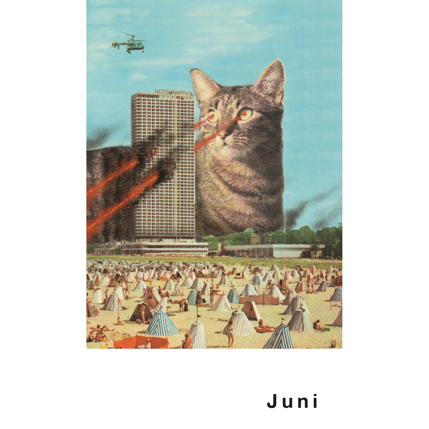 Streuner 1, Postkartenkalender
