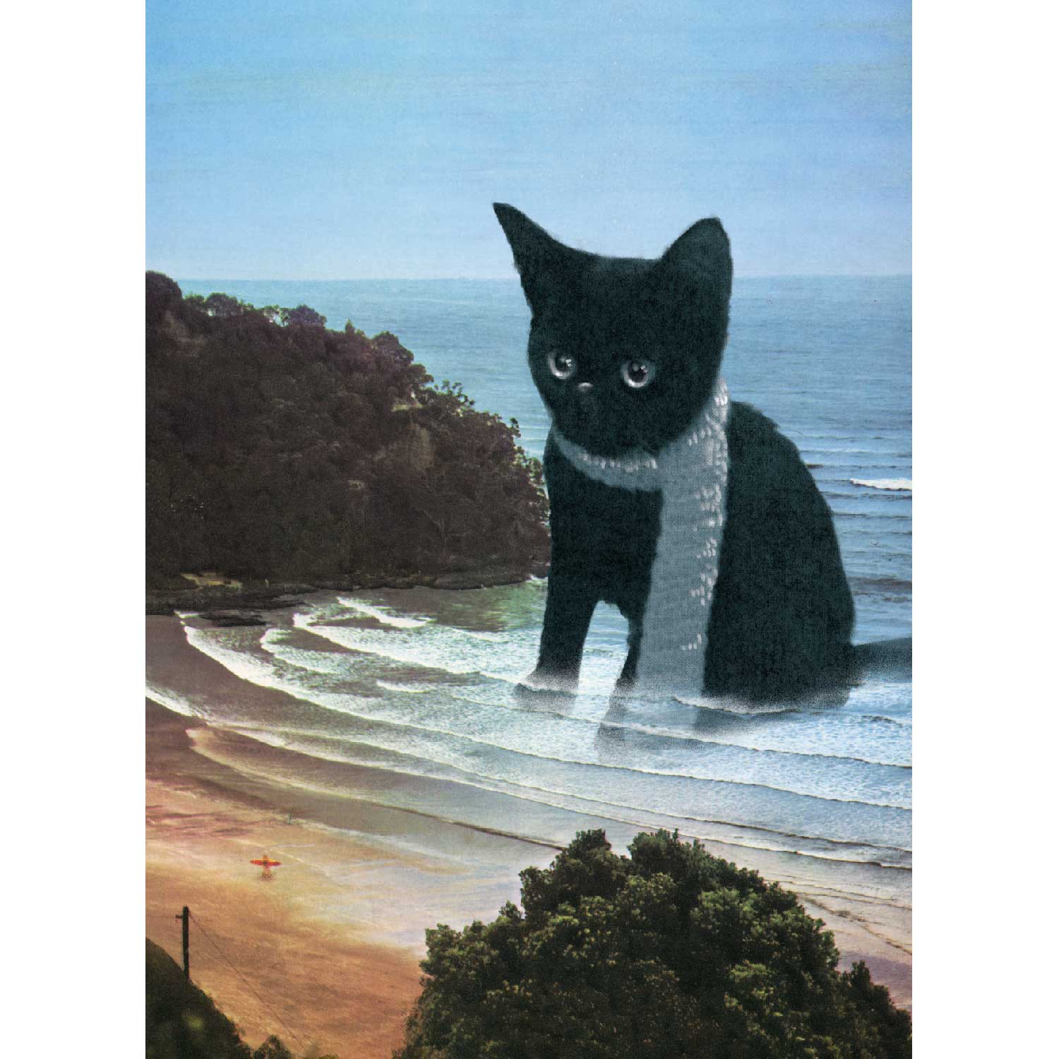 Streuner - Beachcat, Postkarte