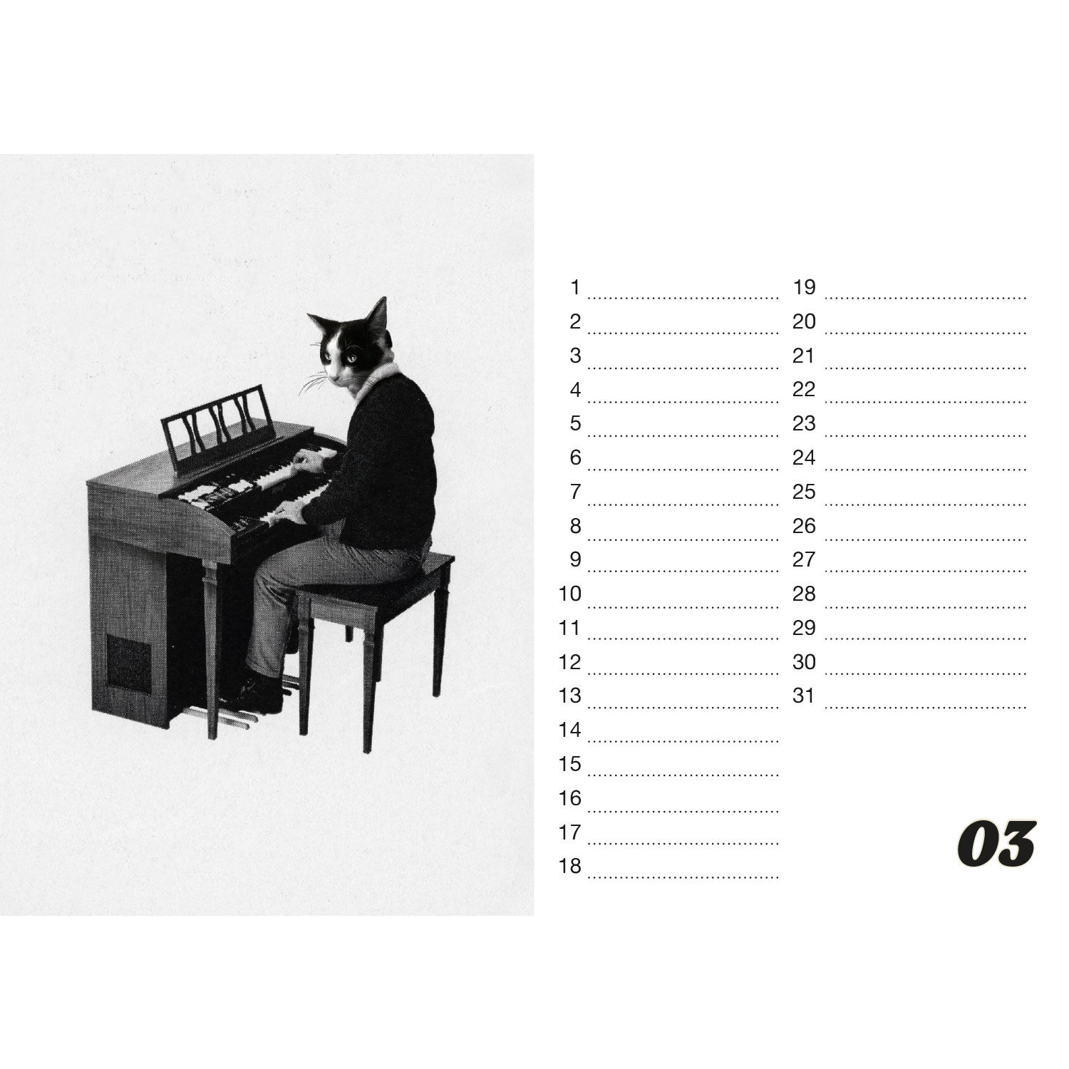 Streuner, Tischkalender A5 Querformat