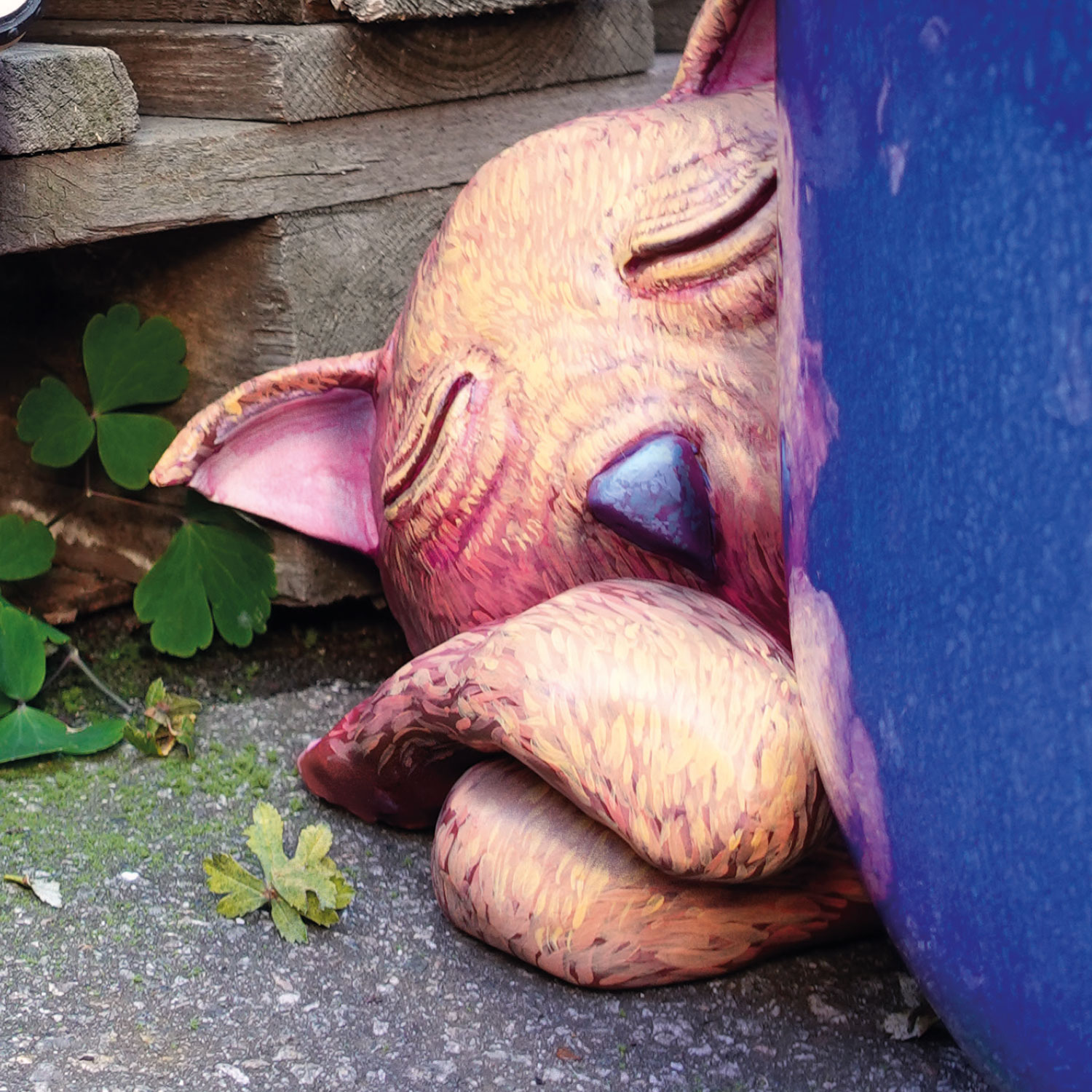 Wie Mäuse leben Katzenmusik
