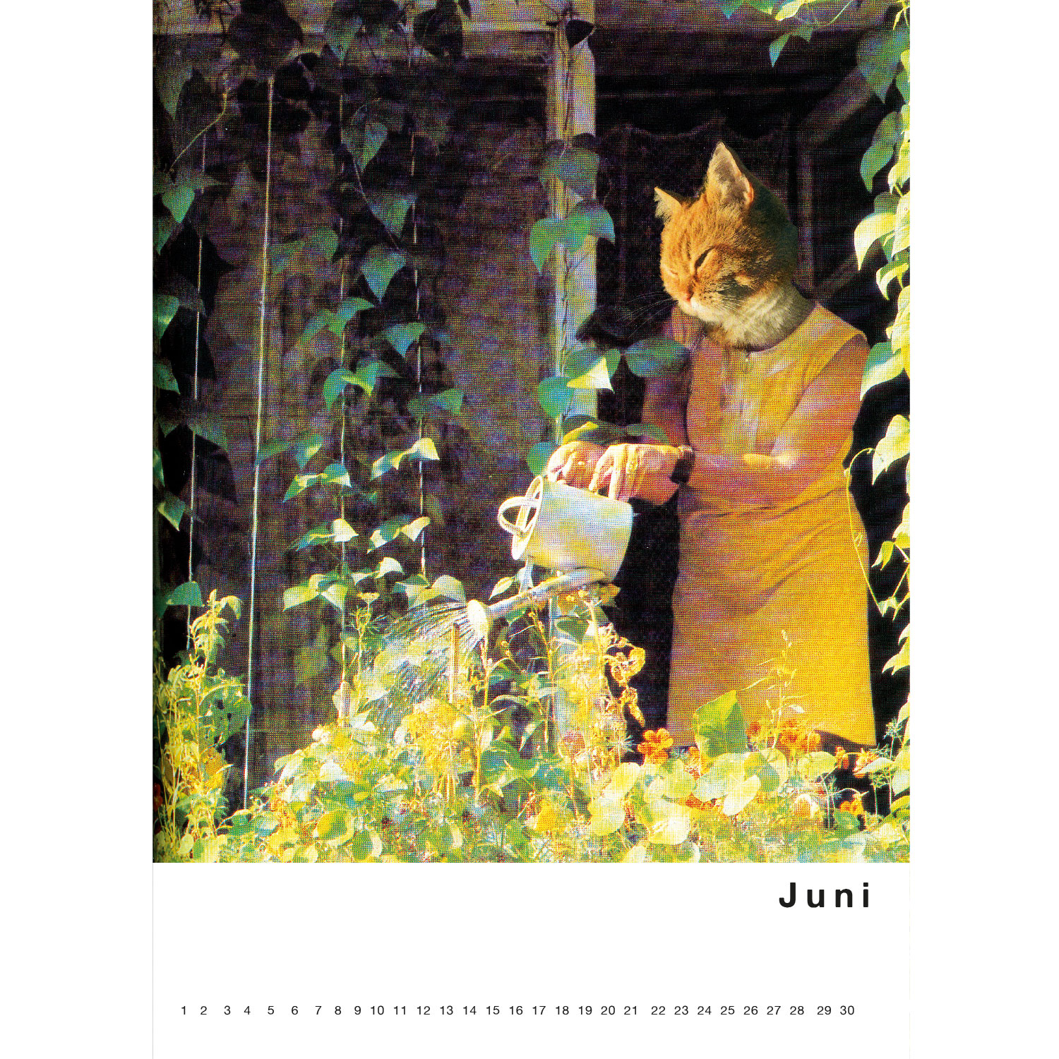 Streuner 3, immerwährender Kalender A4