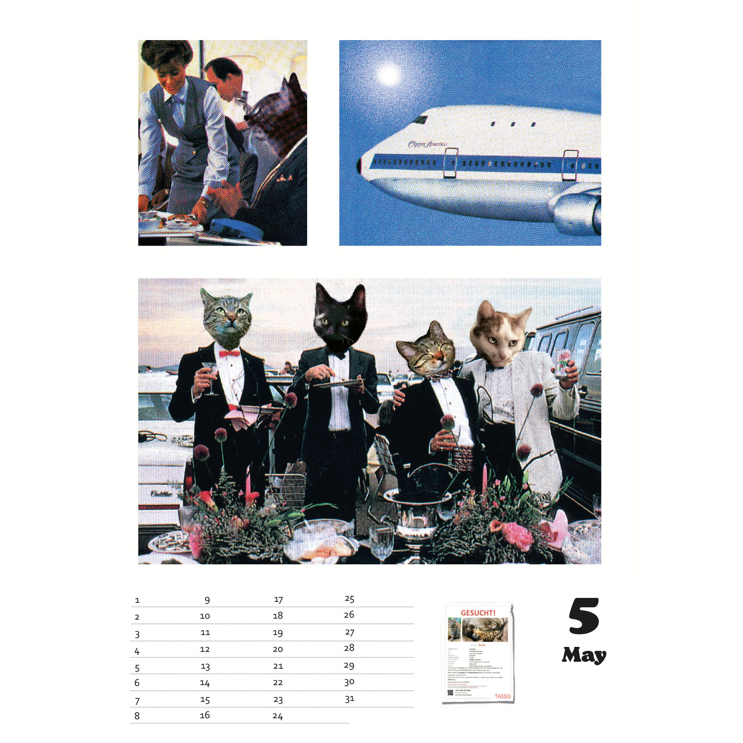 Stray 2, immerwährender Kalender A4