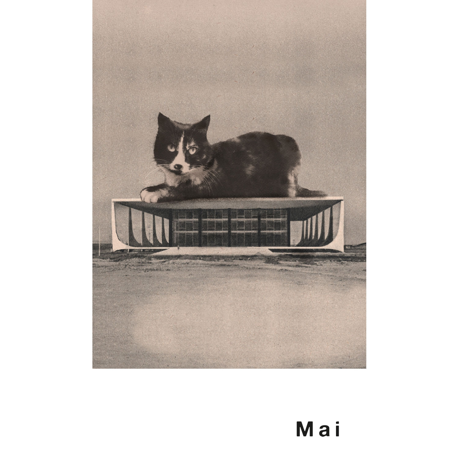 Streuner 1, Postkartenkalender