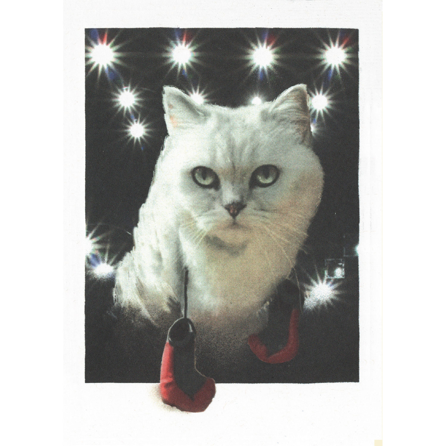 Streuner - Round 1, Postkarte