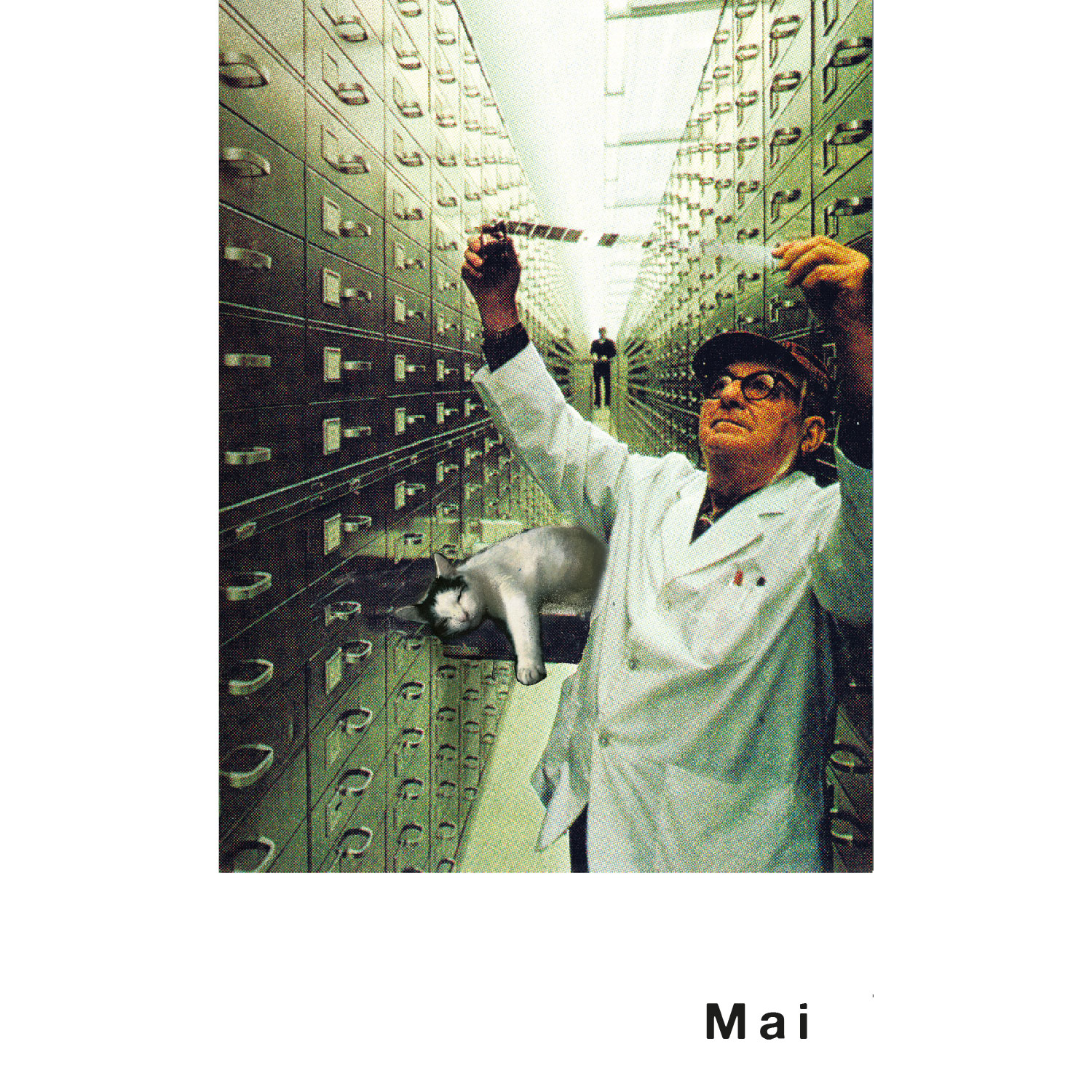 Streuner 6, Postkartenkalender