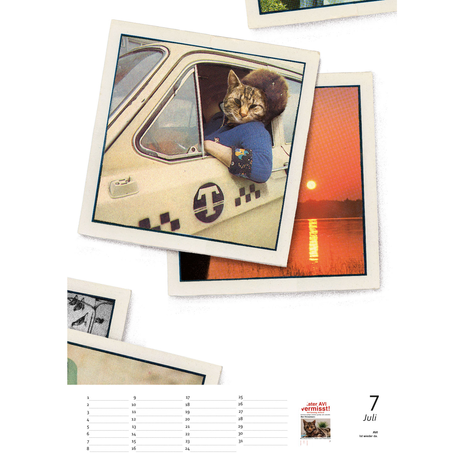 Streuner die schönsten Momente Teil2 , Immerwährender Kalender A3