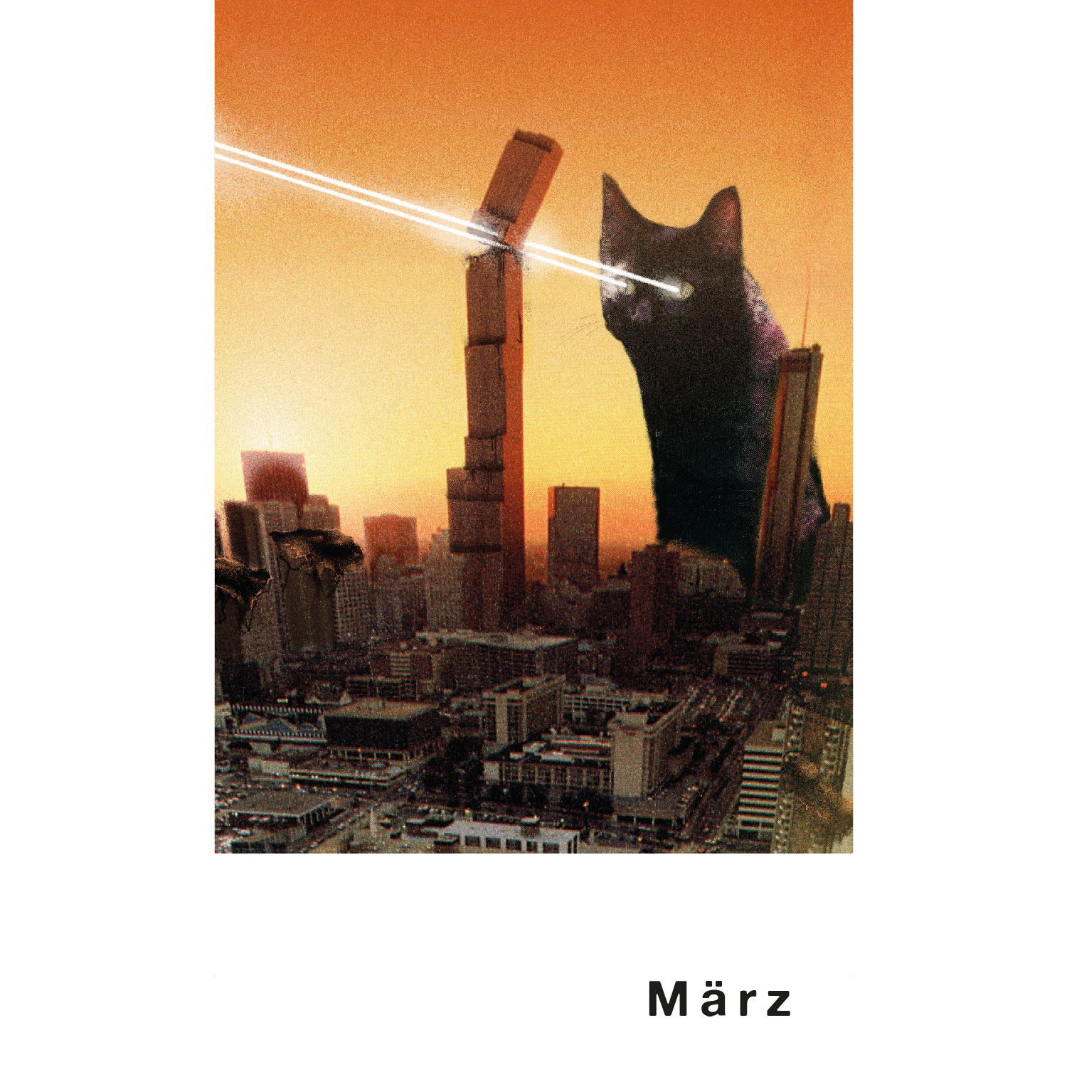 Streuner 7, Postkartenkalender