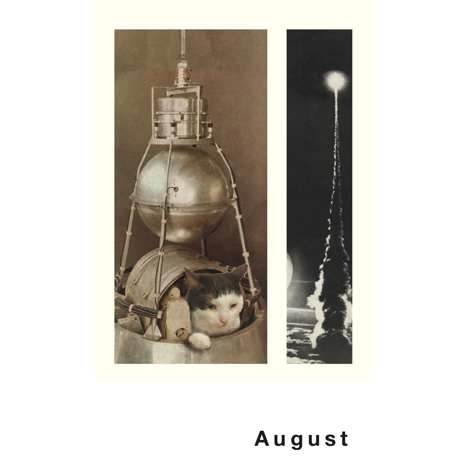 Streuner 1, Postkartenkalender
