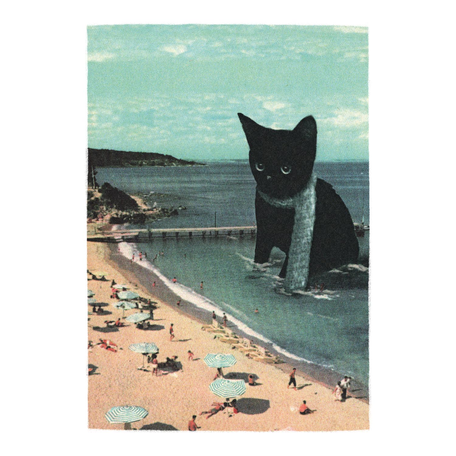Streuner Strandkatze, Plakat A3