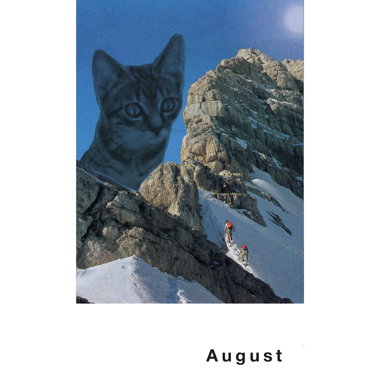 Streuner 6, Postkartenkalender