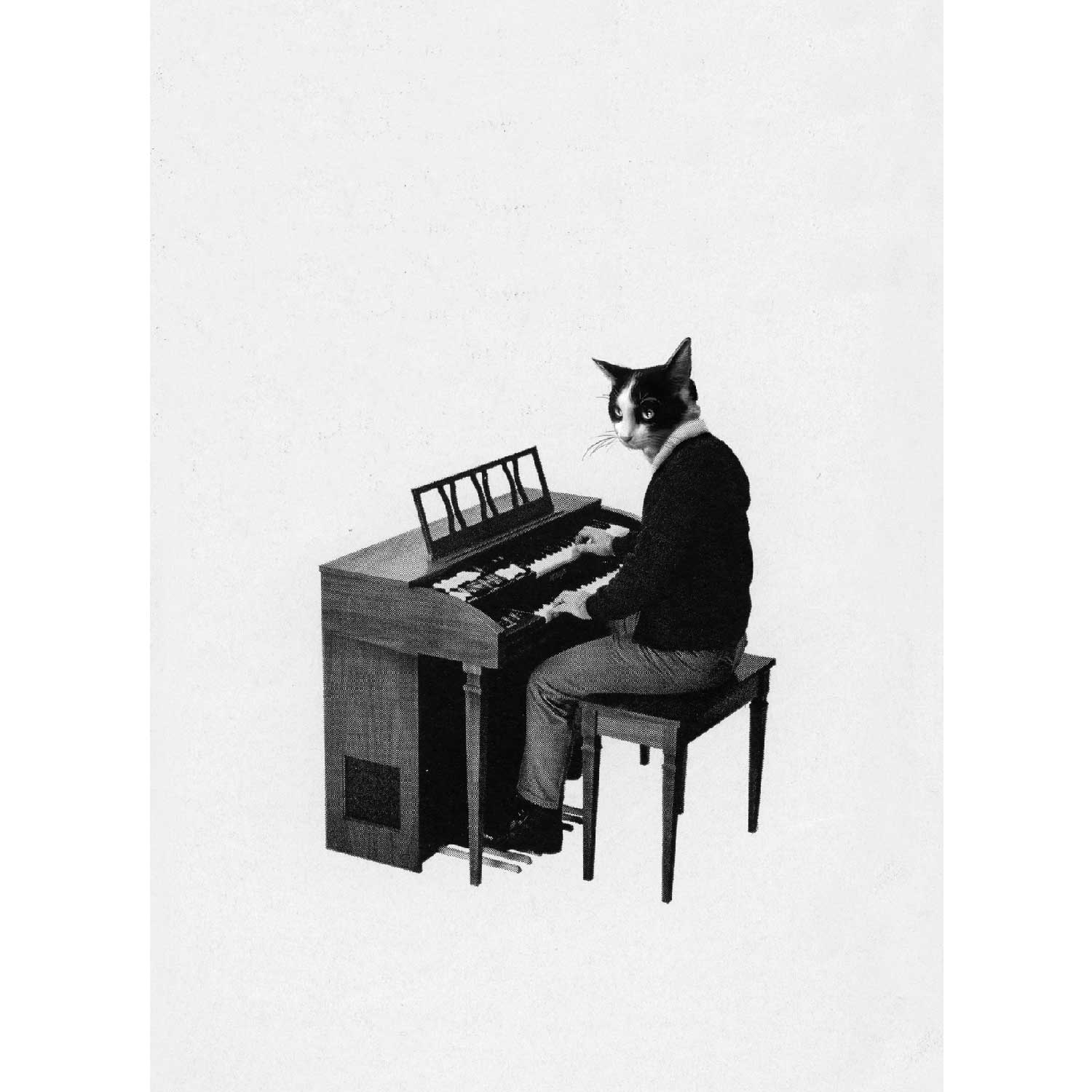 Streuner - Piano, Postkarte