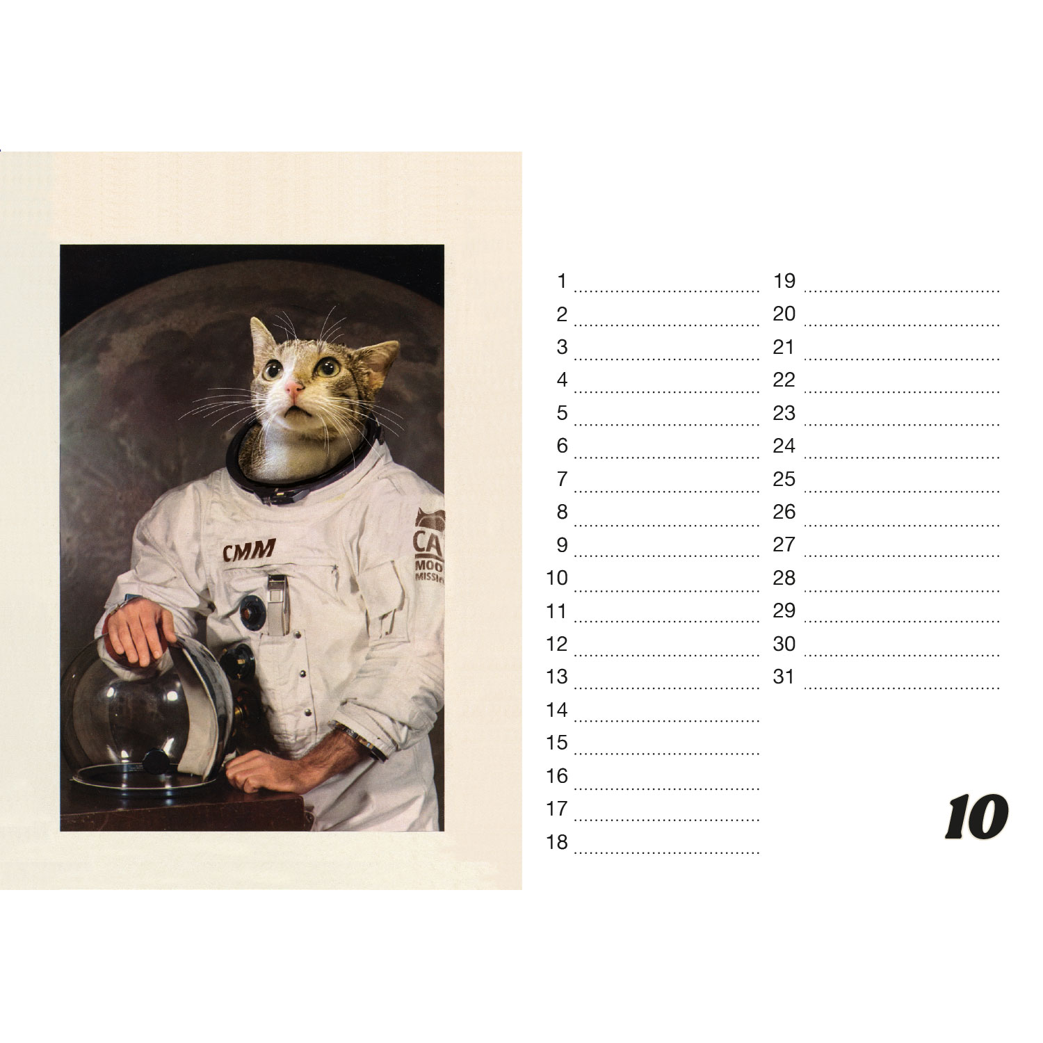 Streuner, Tischkalender A5 Querformat