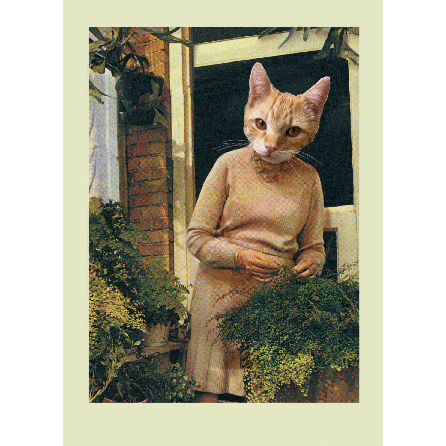 Streuner - Cat Lady, Postkarte