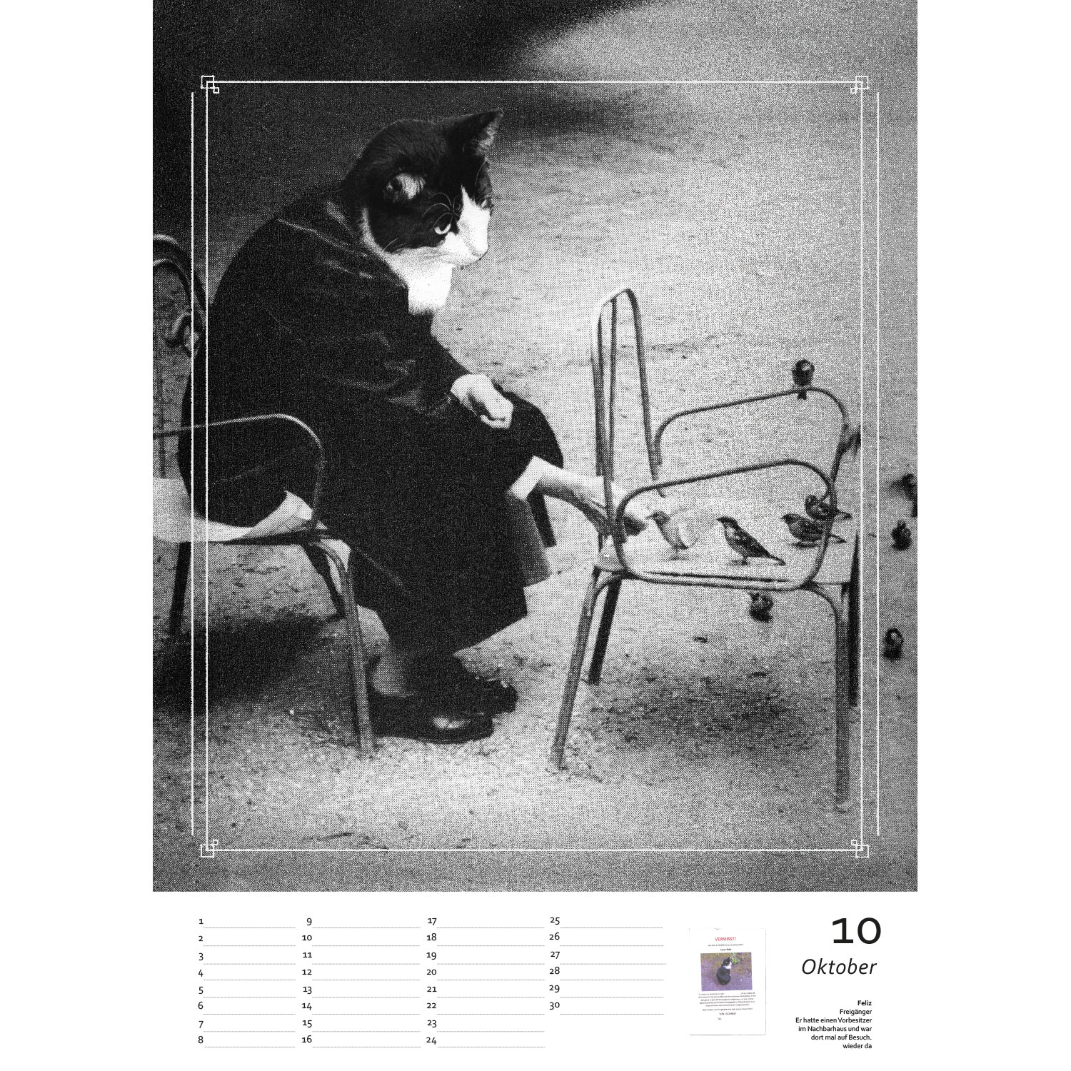 Streuner die schönsten Momente Teil2 , Immerwährender Kalender A3