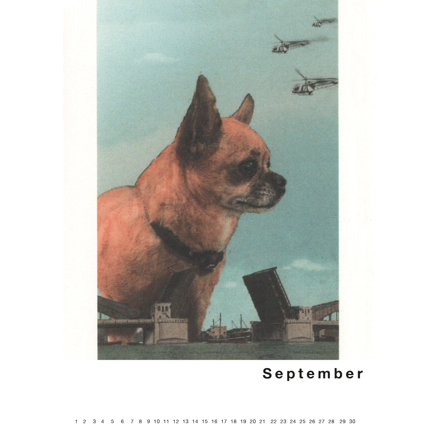 Streuner 1, Immerwährender Kalender A4