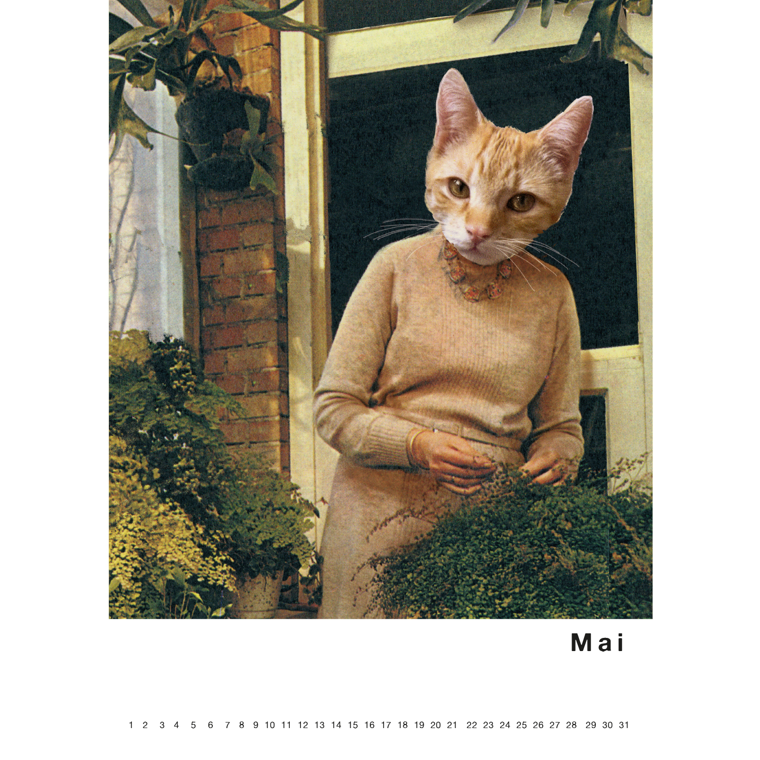 Streuner 2, Immerwährender Kalender A4