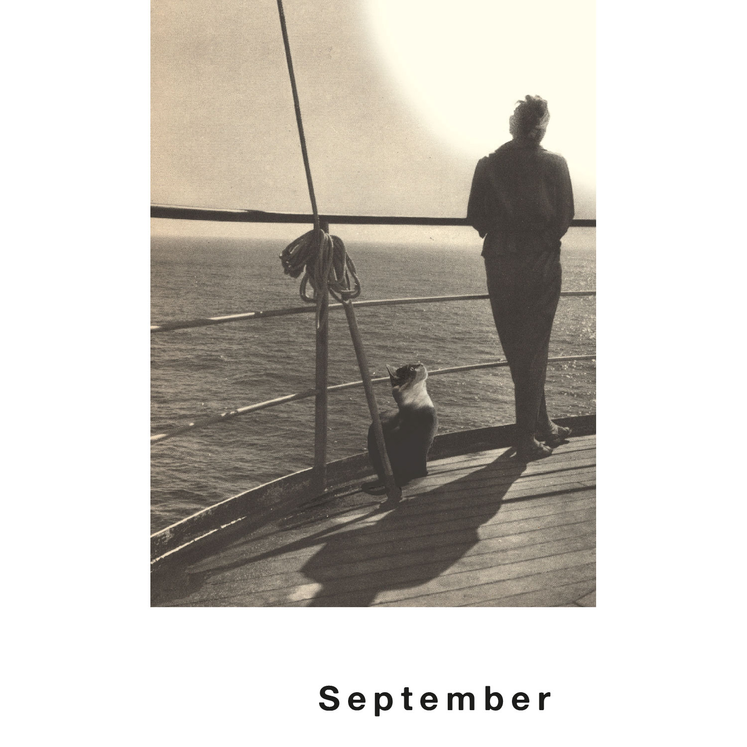 Streuner 1, Postkartenkalender