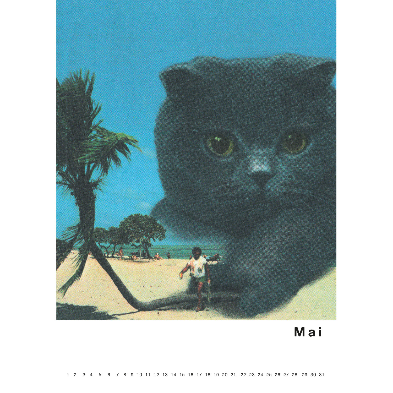 Streuner 1, Immerwährender Kalender A4
