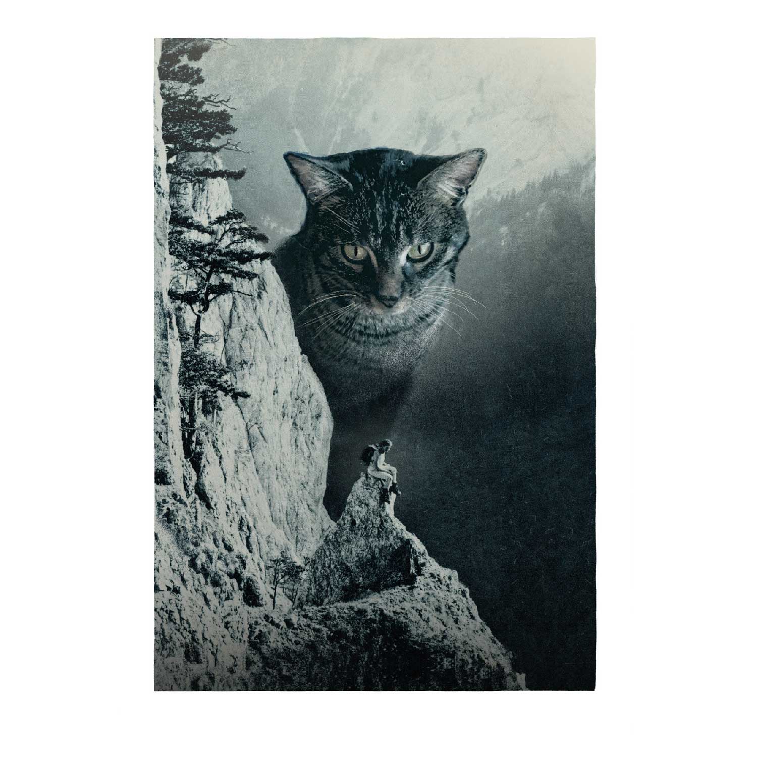 Streuner - Katze am Berg, Postkarte