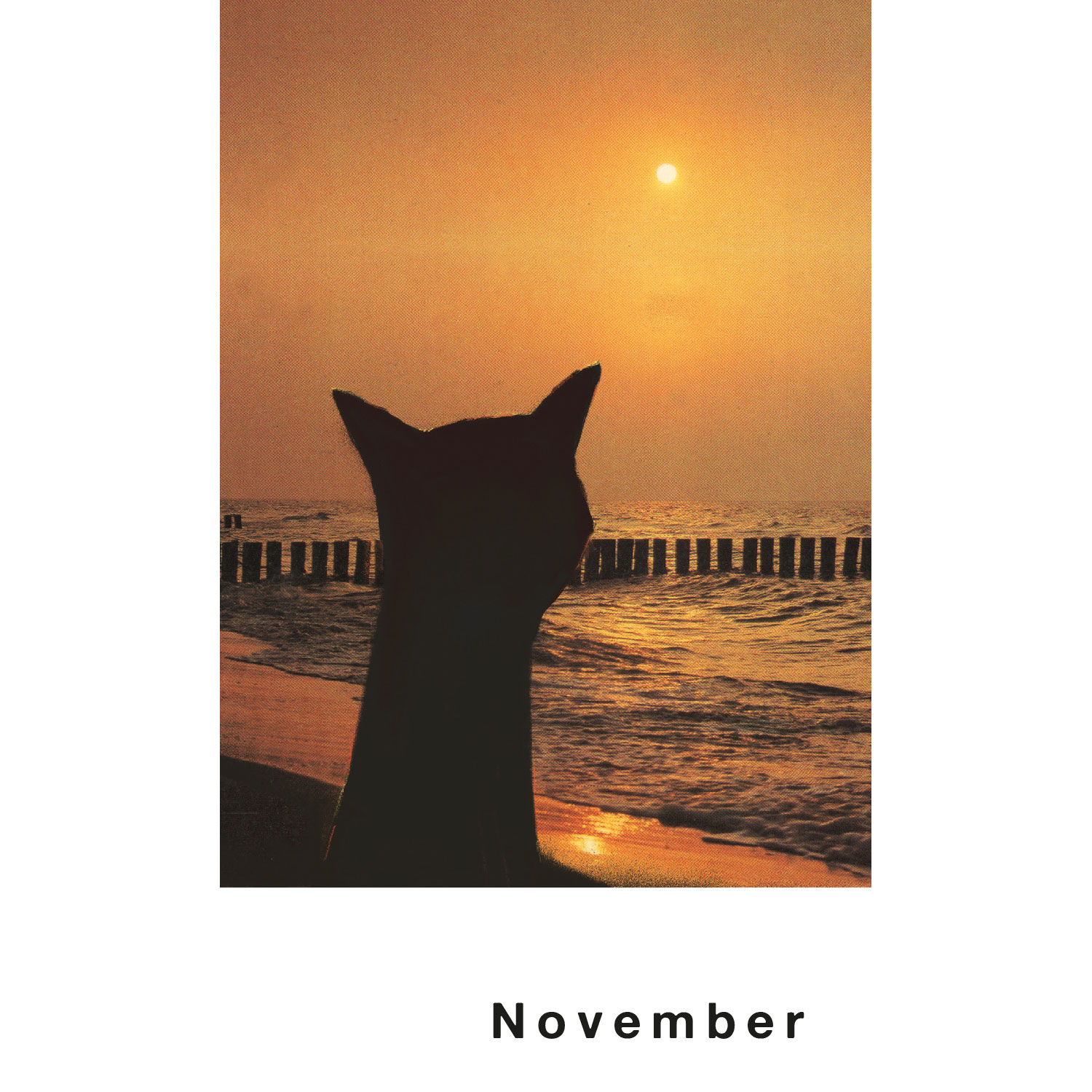 Streuner 1, Postkartenkalender