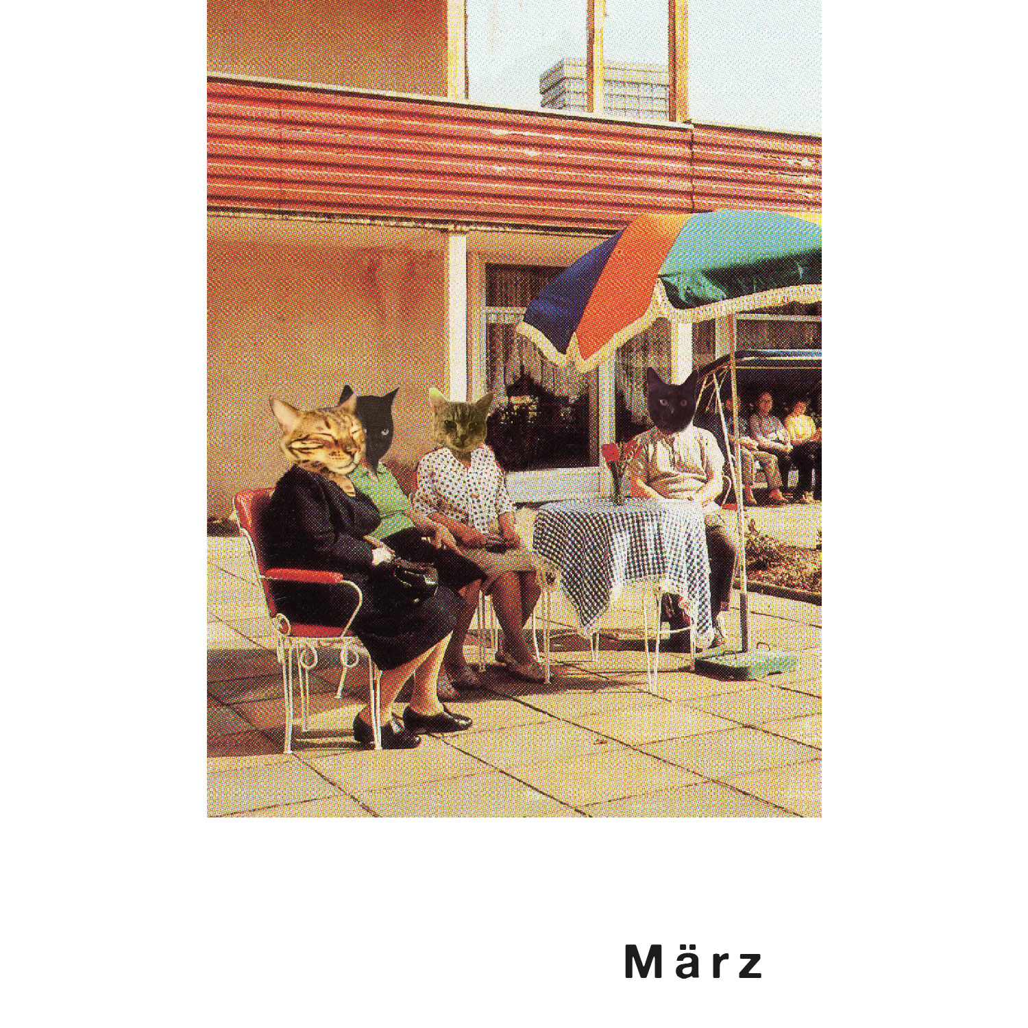 Streuner 4, Postkartenkalender